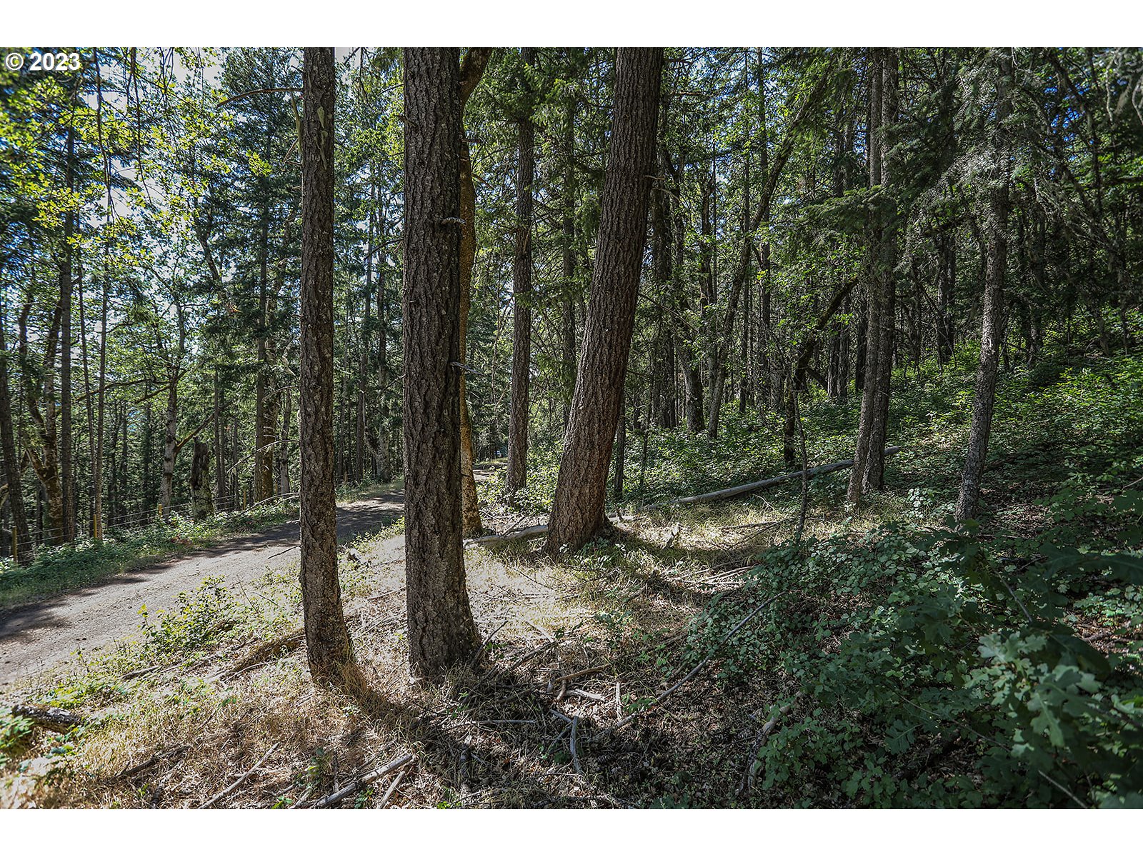 Lyons Rd Property Photo 23
