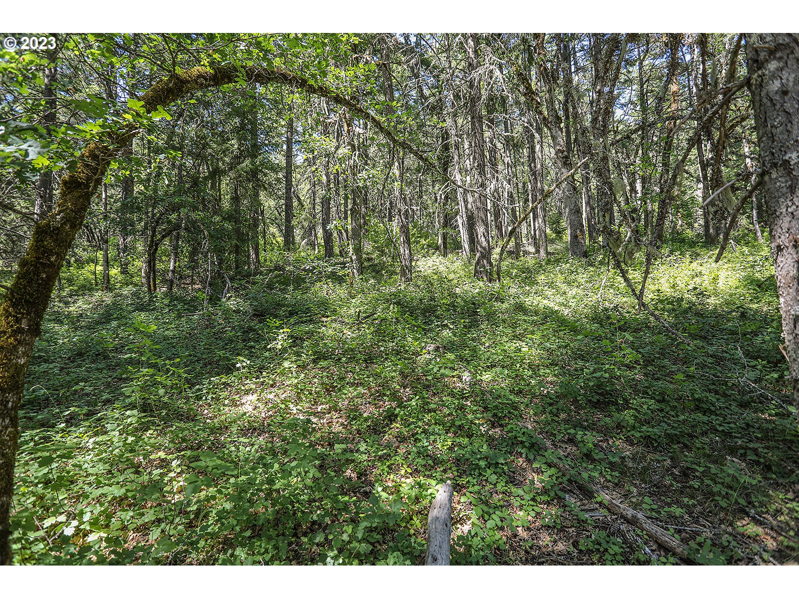 Lyons Rd Property Photo 24