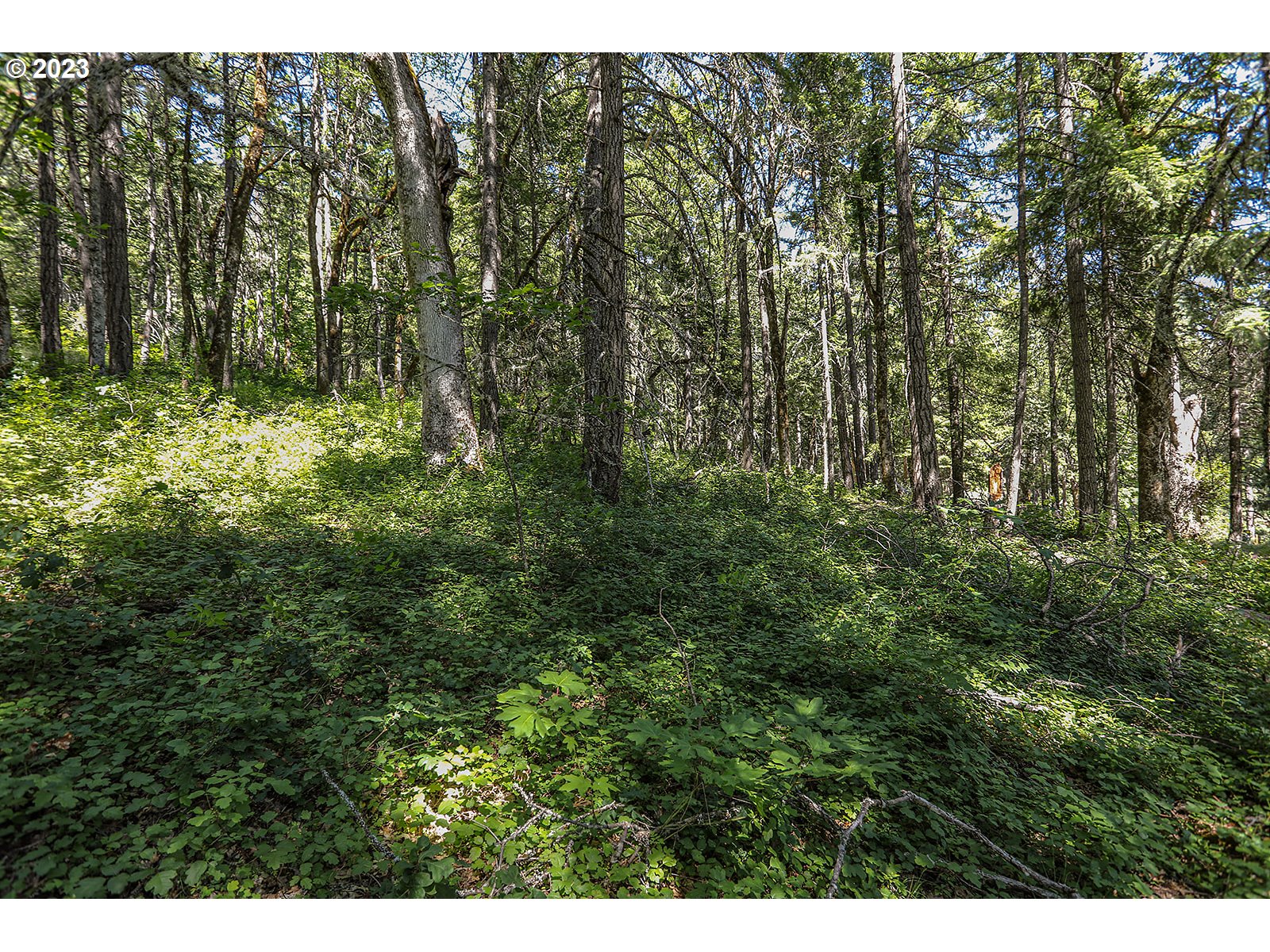Lyons Rd Property Photo 25