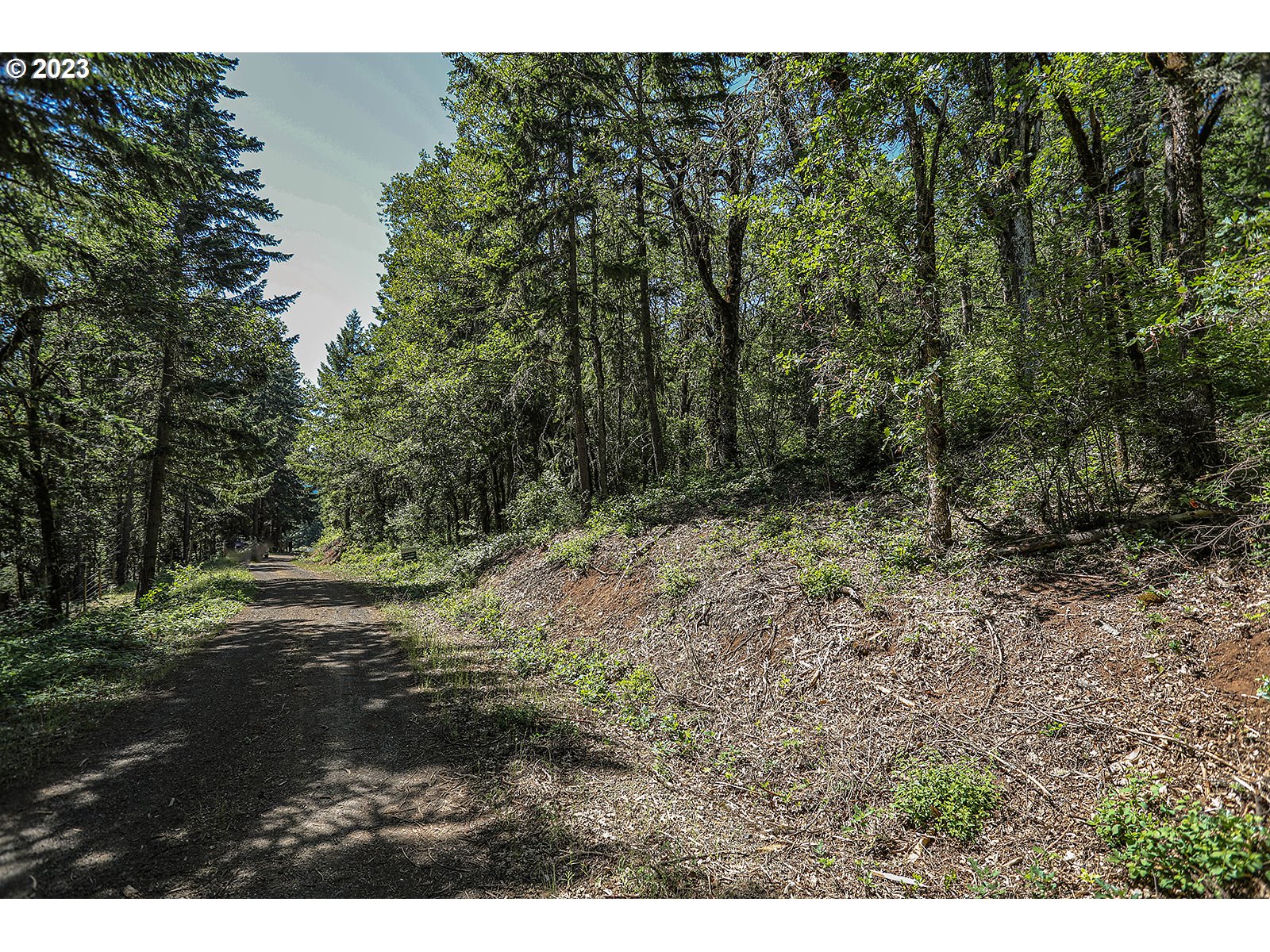 Lyons Rd Property Photo 26