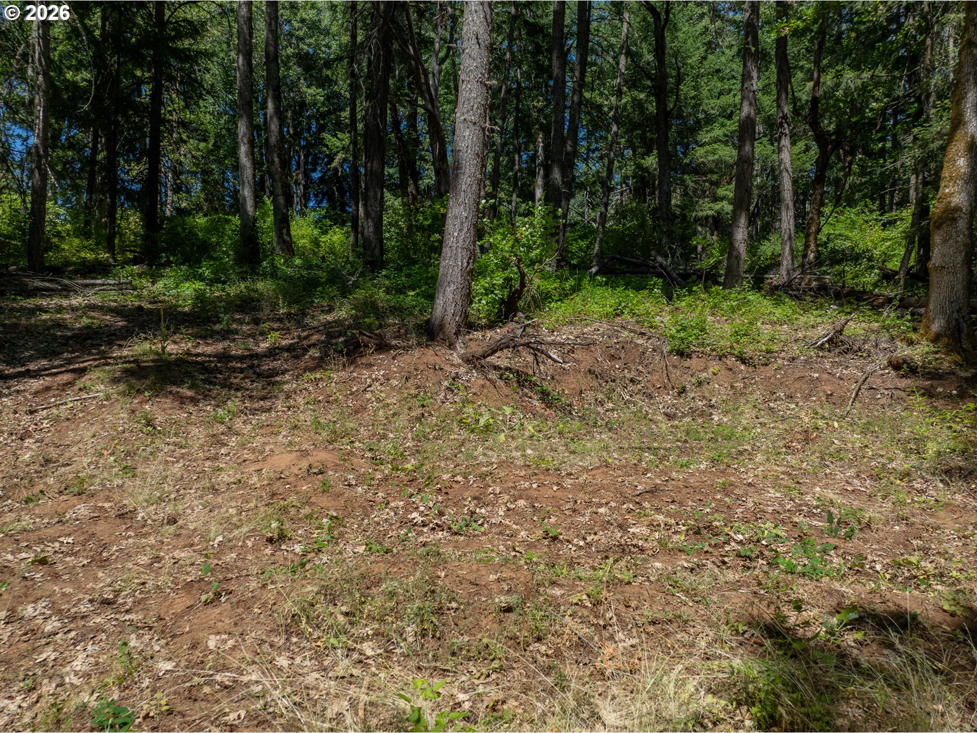 Lyons Rd Property Photo 34
