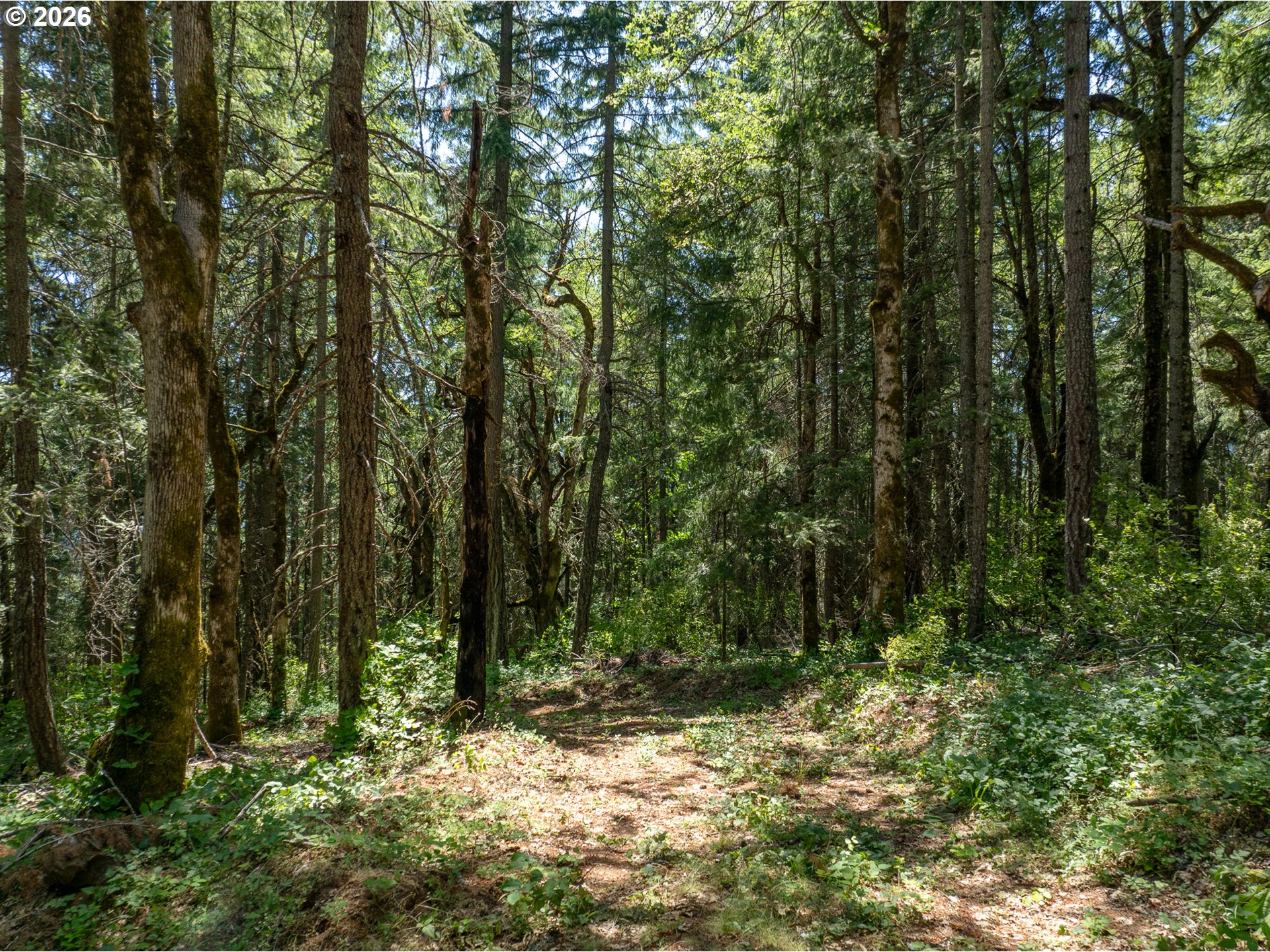 Lyons Rd Property Photo 35