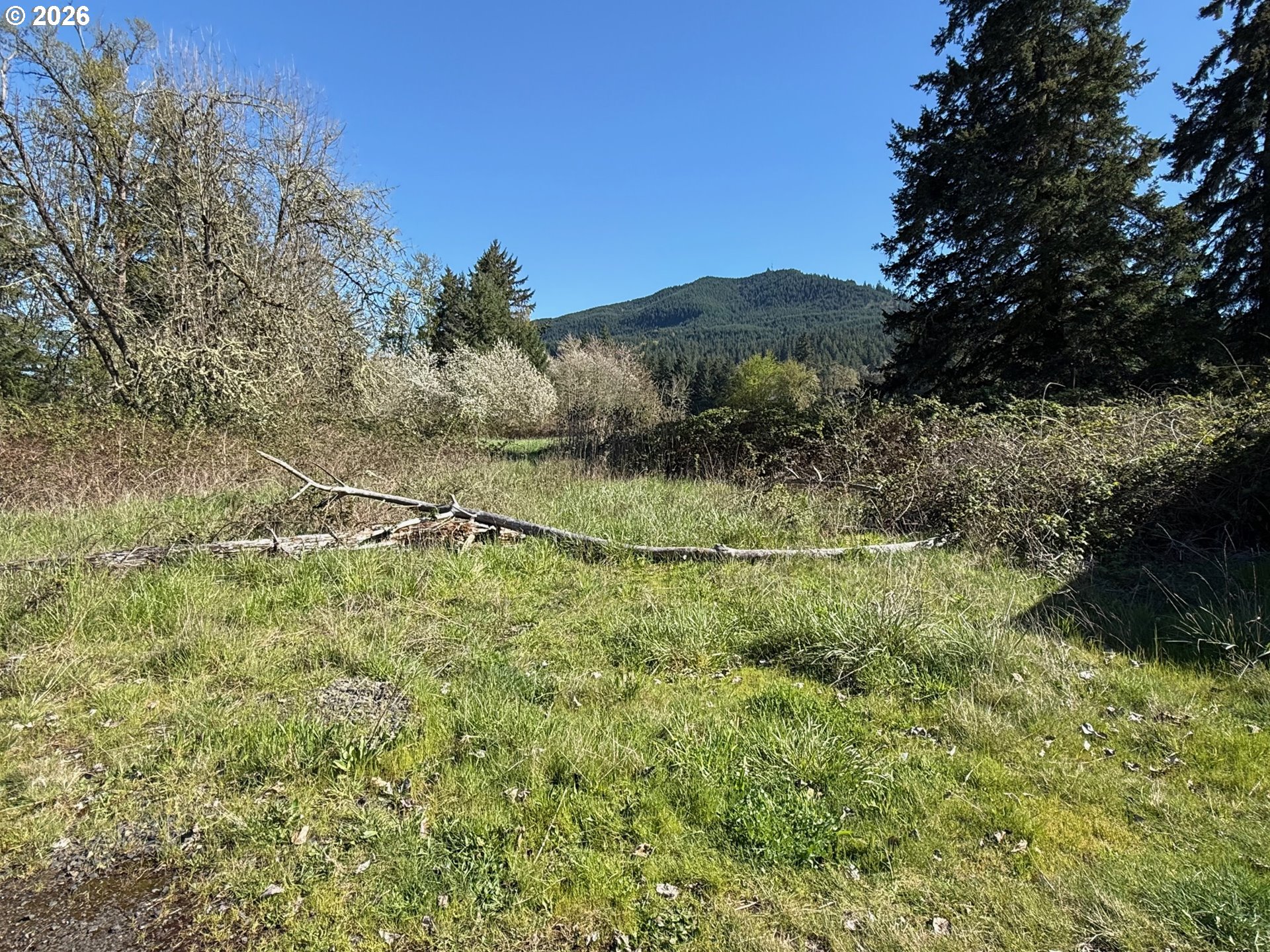 40144 Big Fall Creek Rd Property Photo 5