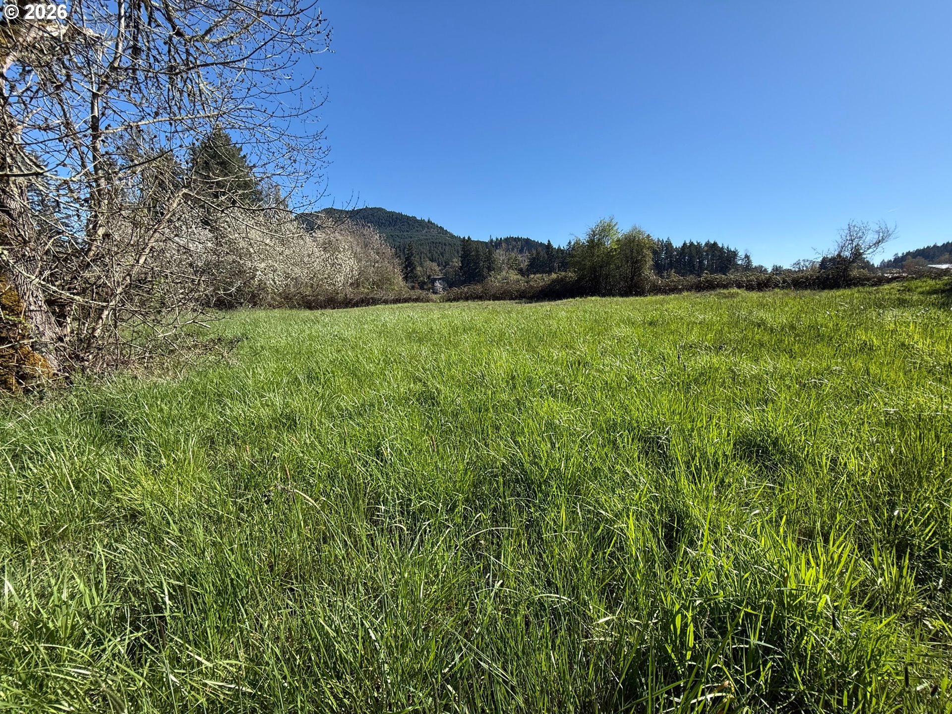 40144 Big Fall Creek Rd Property Photo 6