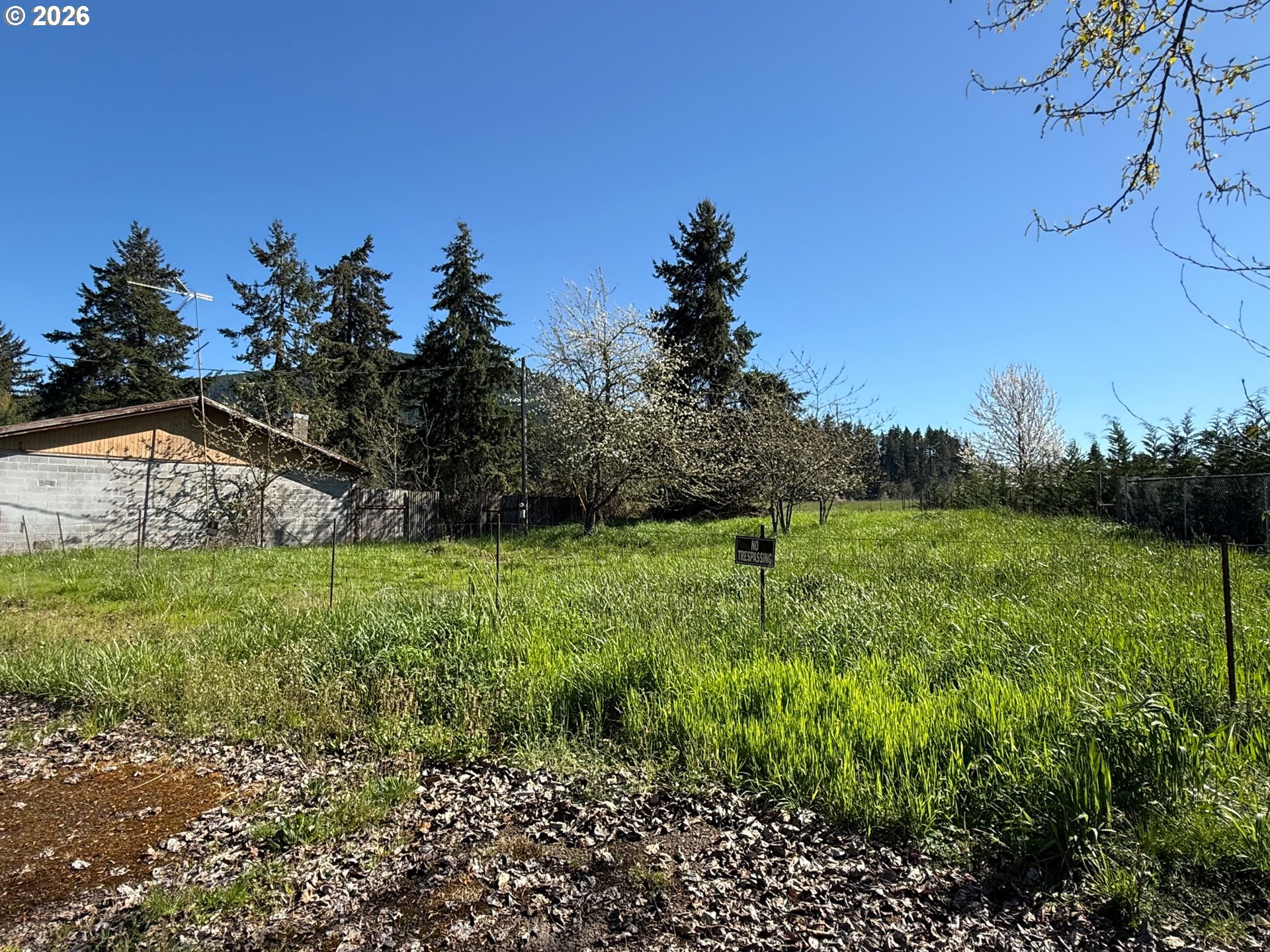 40144 Big Fall Creek Rd Property Photo 7