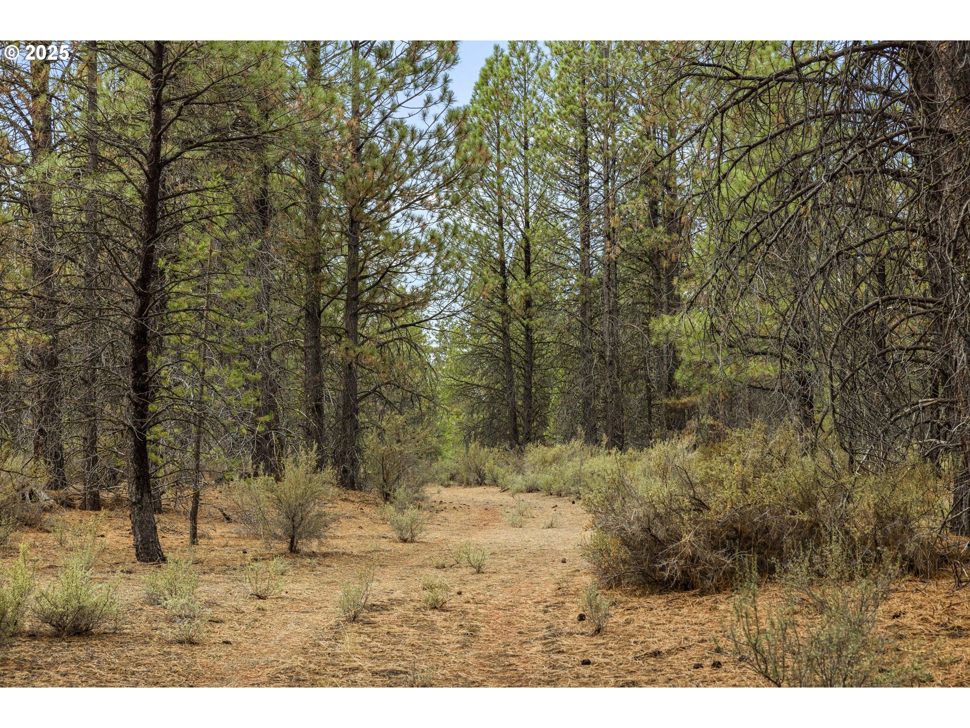 000 Chiloquin W Property Photo 23