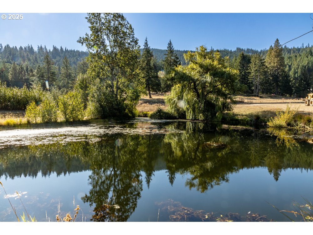 Lot 16 Husum Greens Property Photo 21