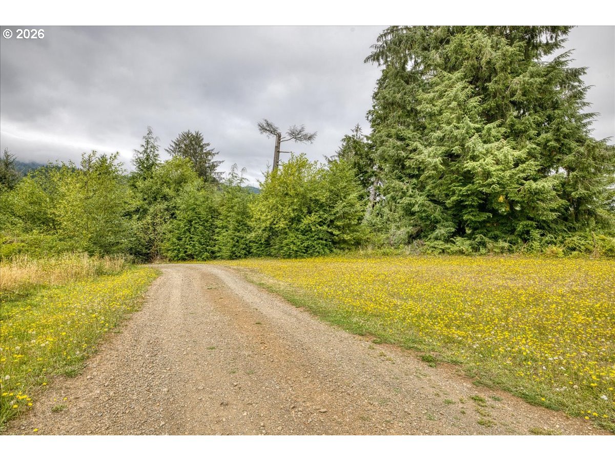 25905 Bixby Rd Property Photo 31
