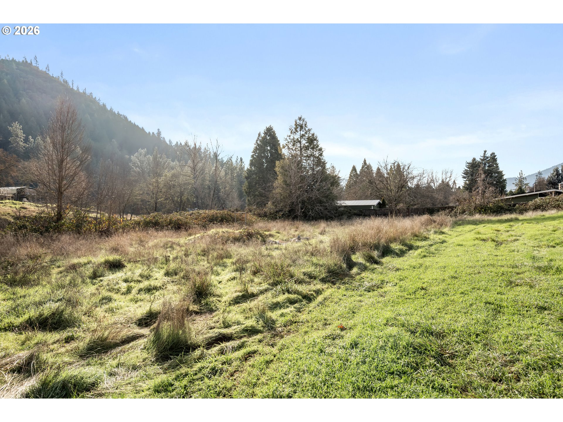 1514 Burbridge Dr Property Photo 36