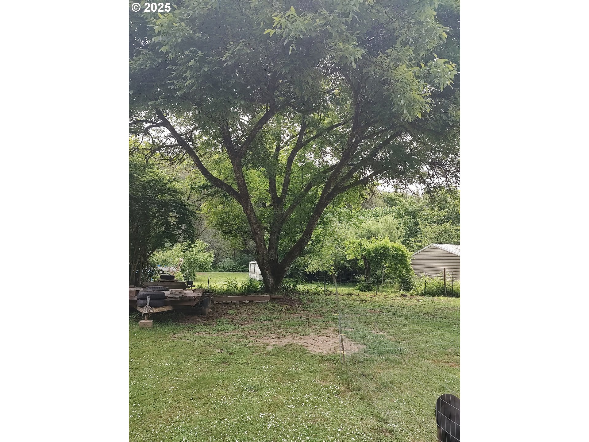 34376 State Highway 38 Property Photo 8