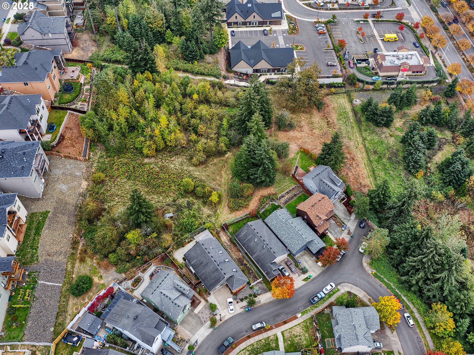 0 Summerfield Way Property Photo 1