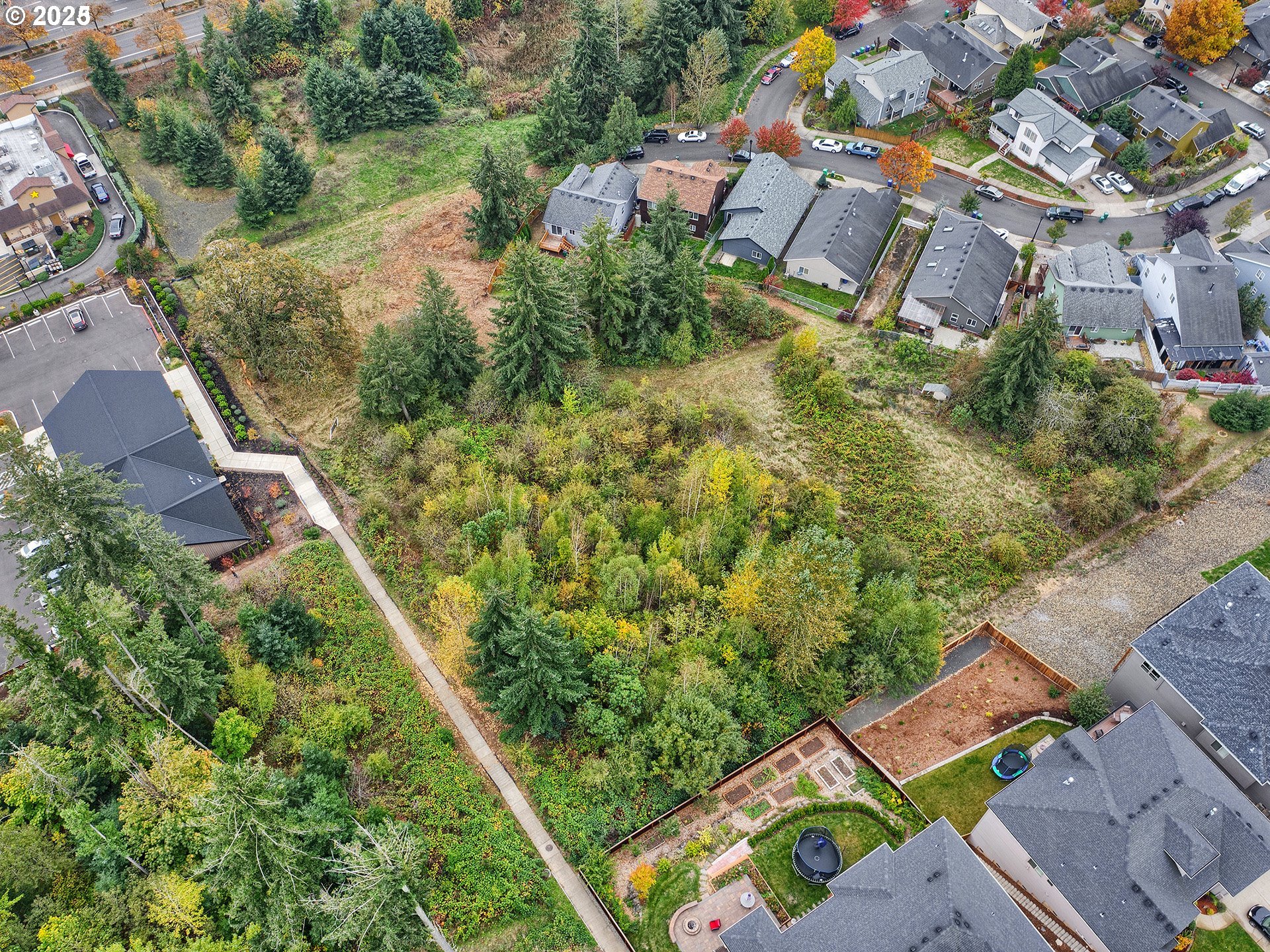 0 Summerfield Way Property Photo 3