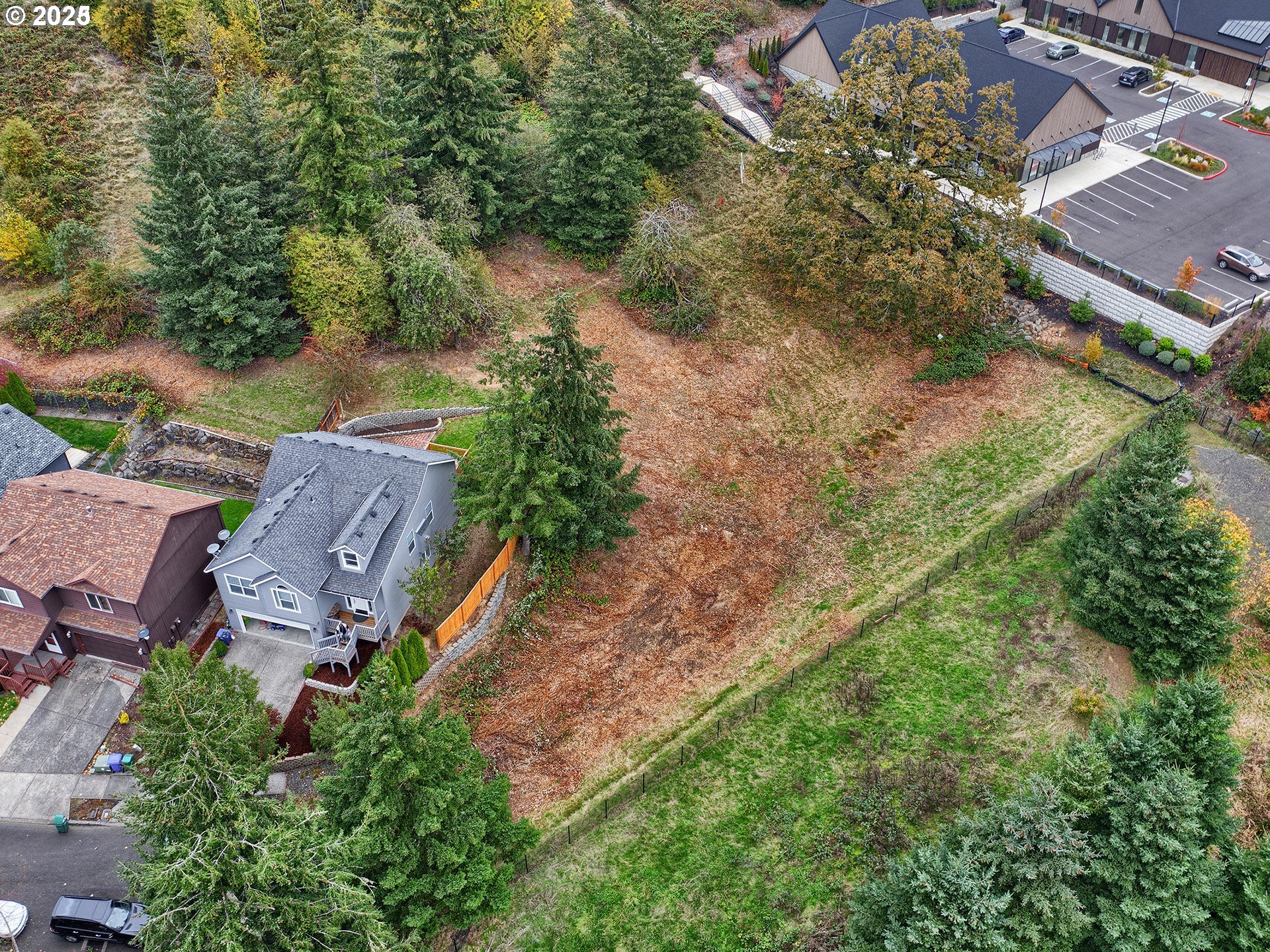 0 Summerfield Way Property Photo 8