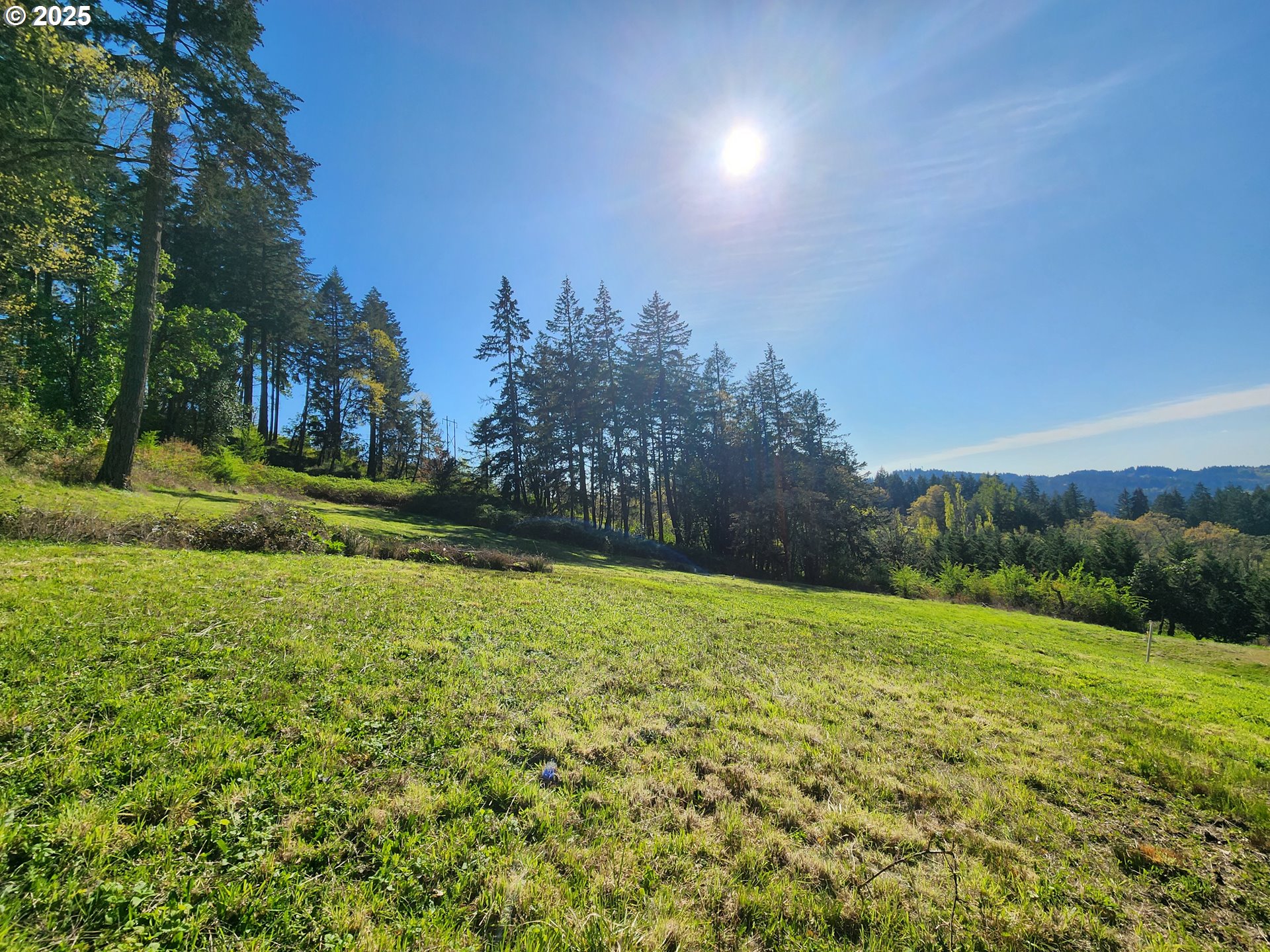 Eagle View Dr 3 Property Photo 10