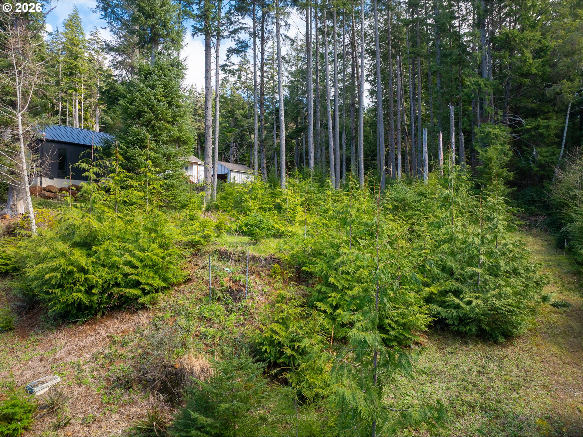0 Walsh Ln Property Photo 11