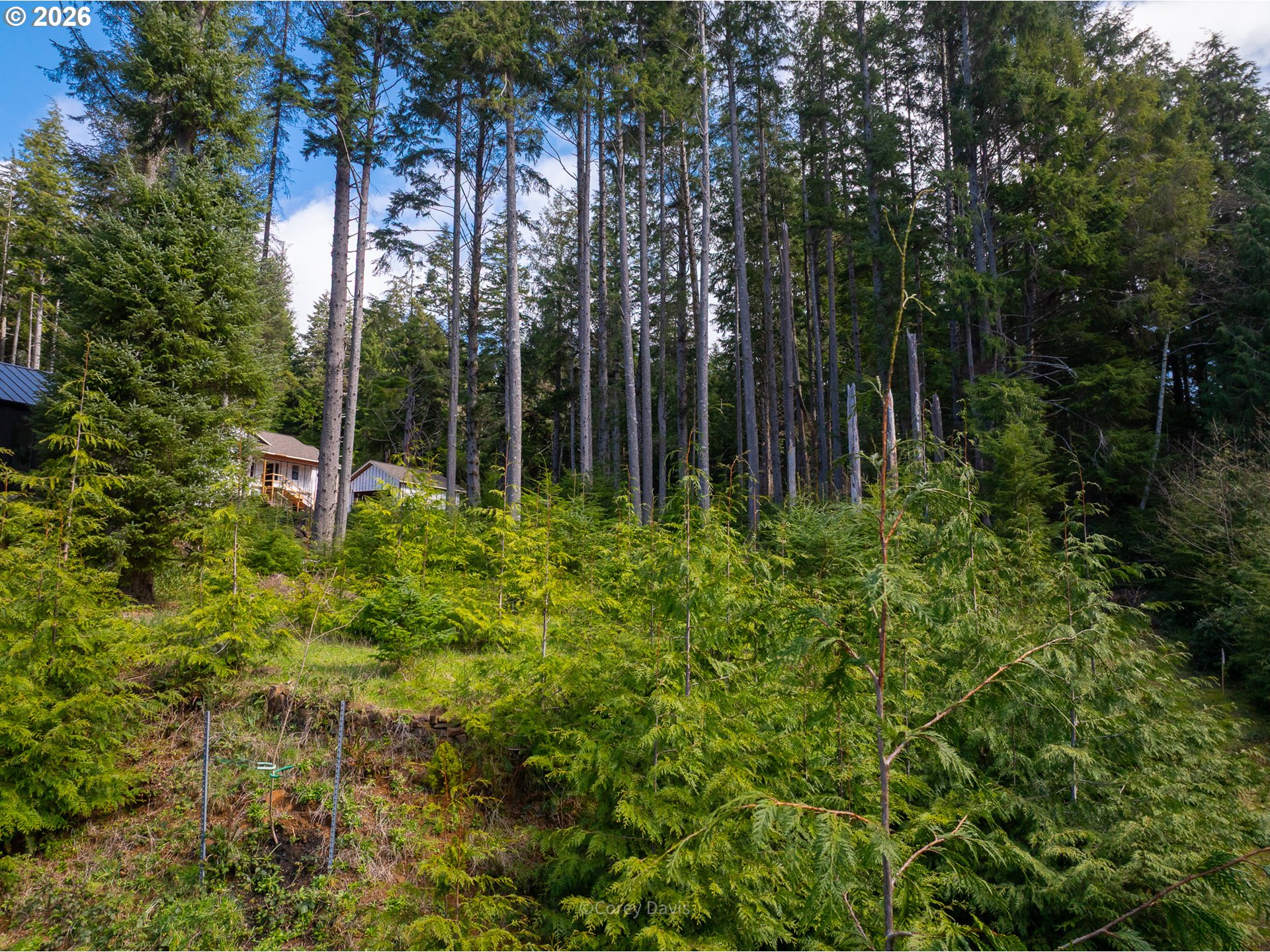 0 Walsh Ln Property Photo 15
