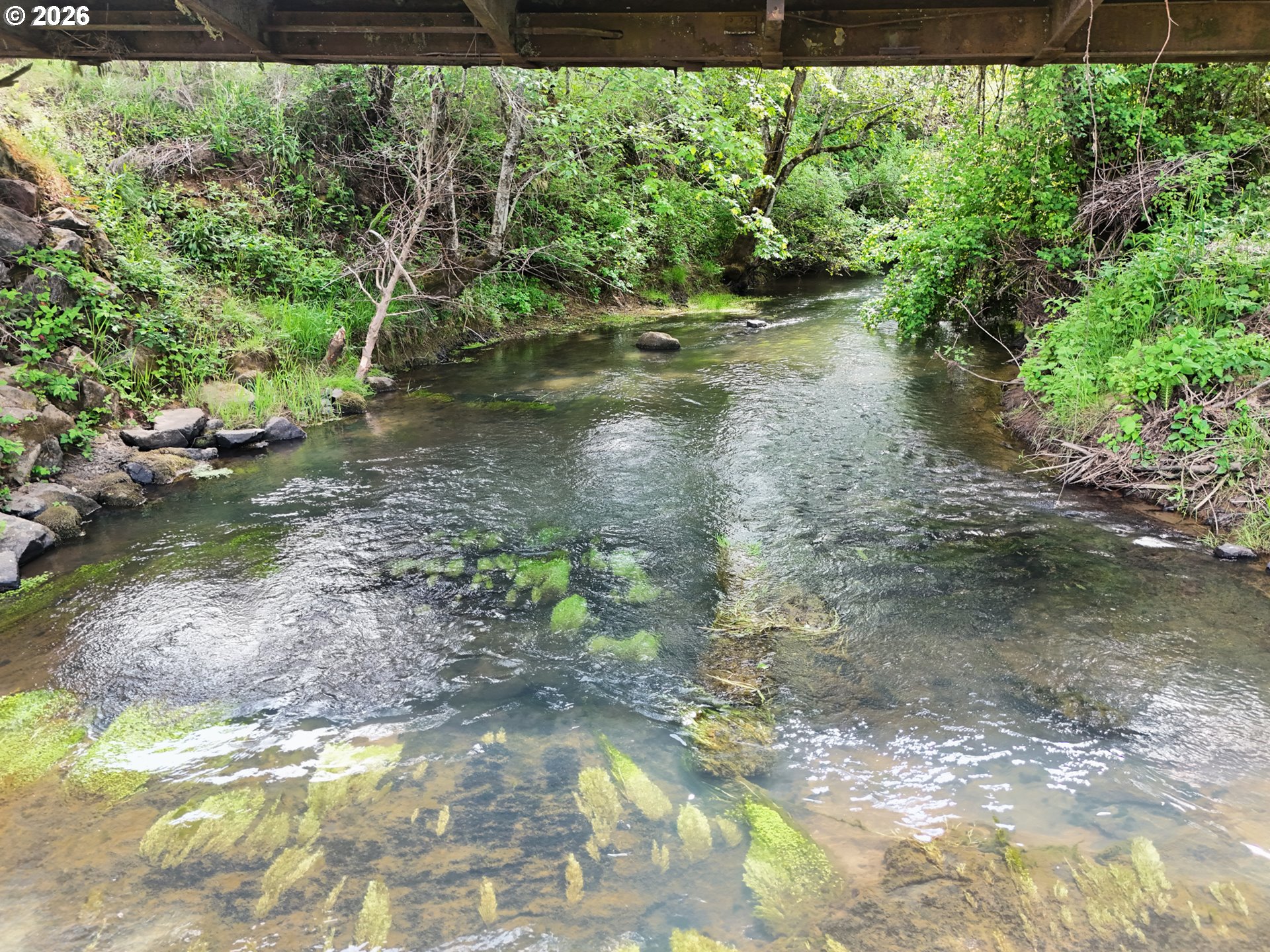 5143 Umpqua Highway 99 Property Photo 4