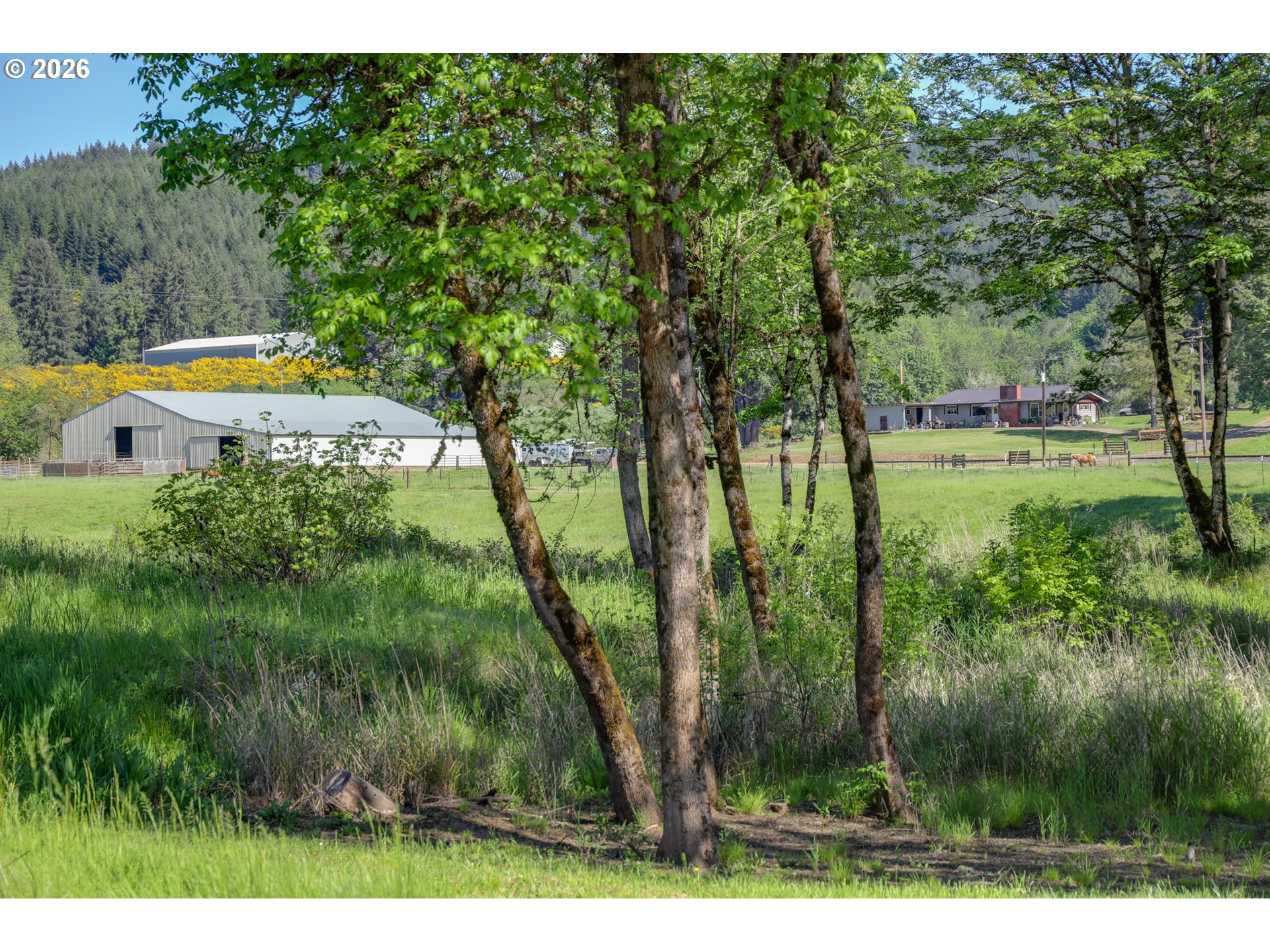 5143 Umpqua Highway 99 Property Photo 18