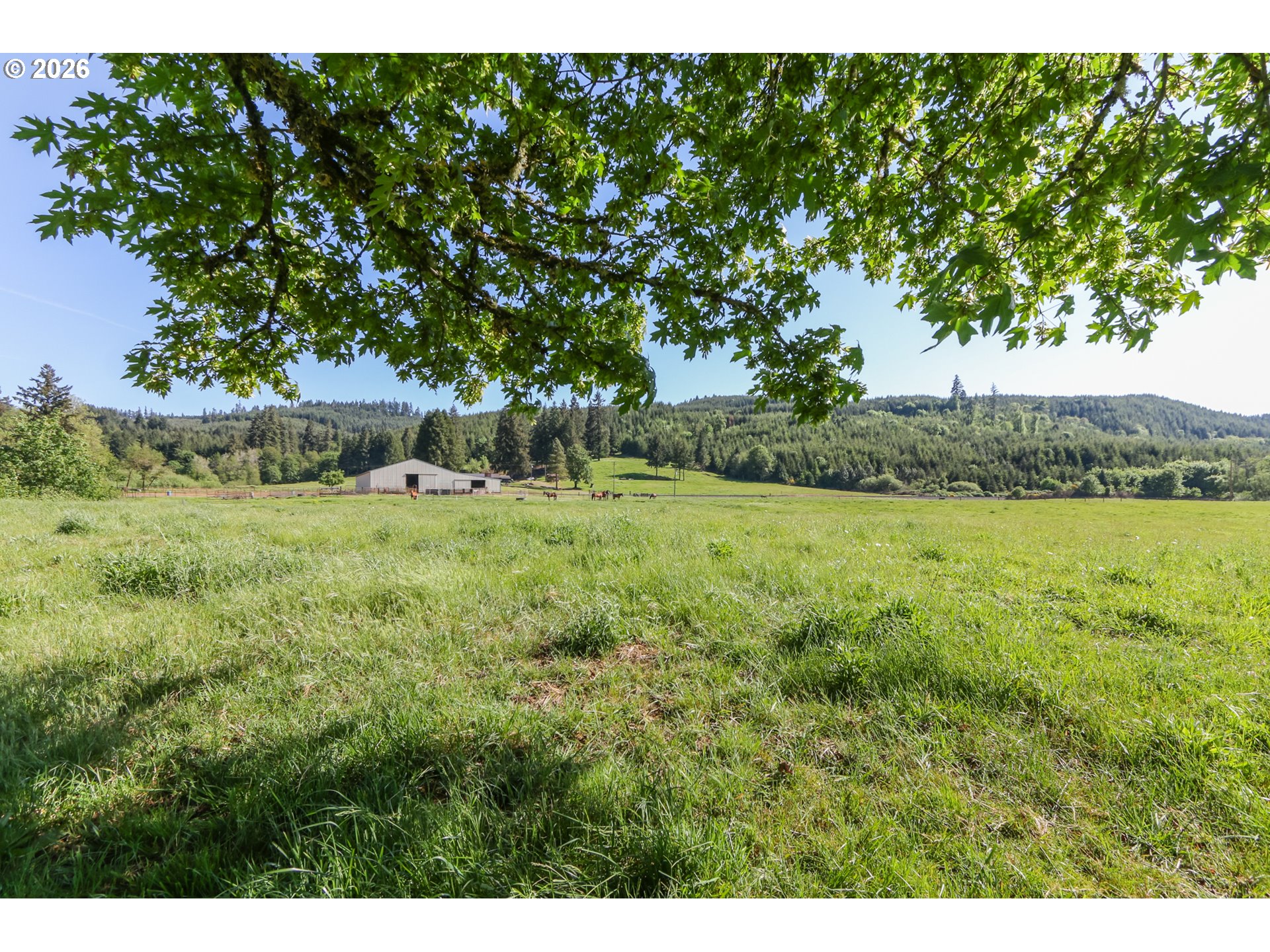 5143 Umpqua Highway 99 Property Photo 19