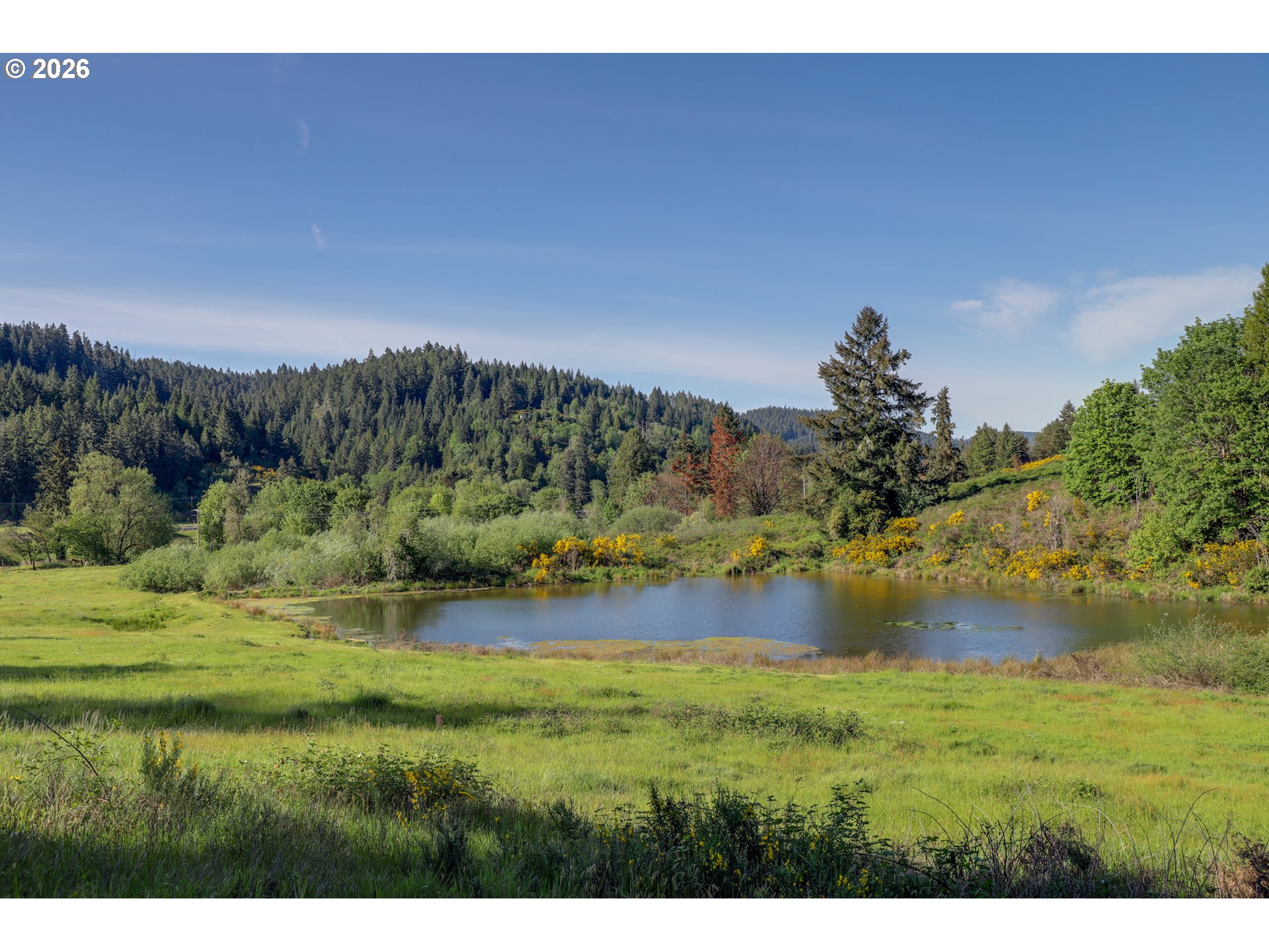 5143 Umpqua Highway 99 Property Photo 36