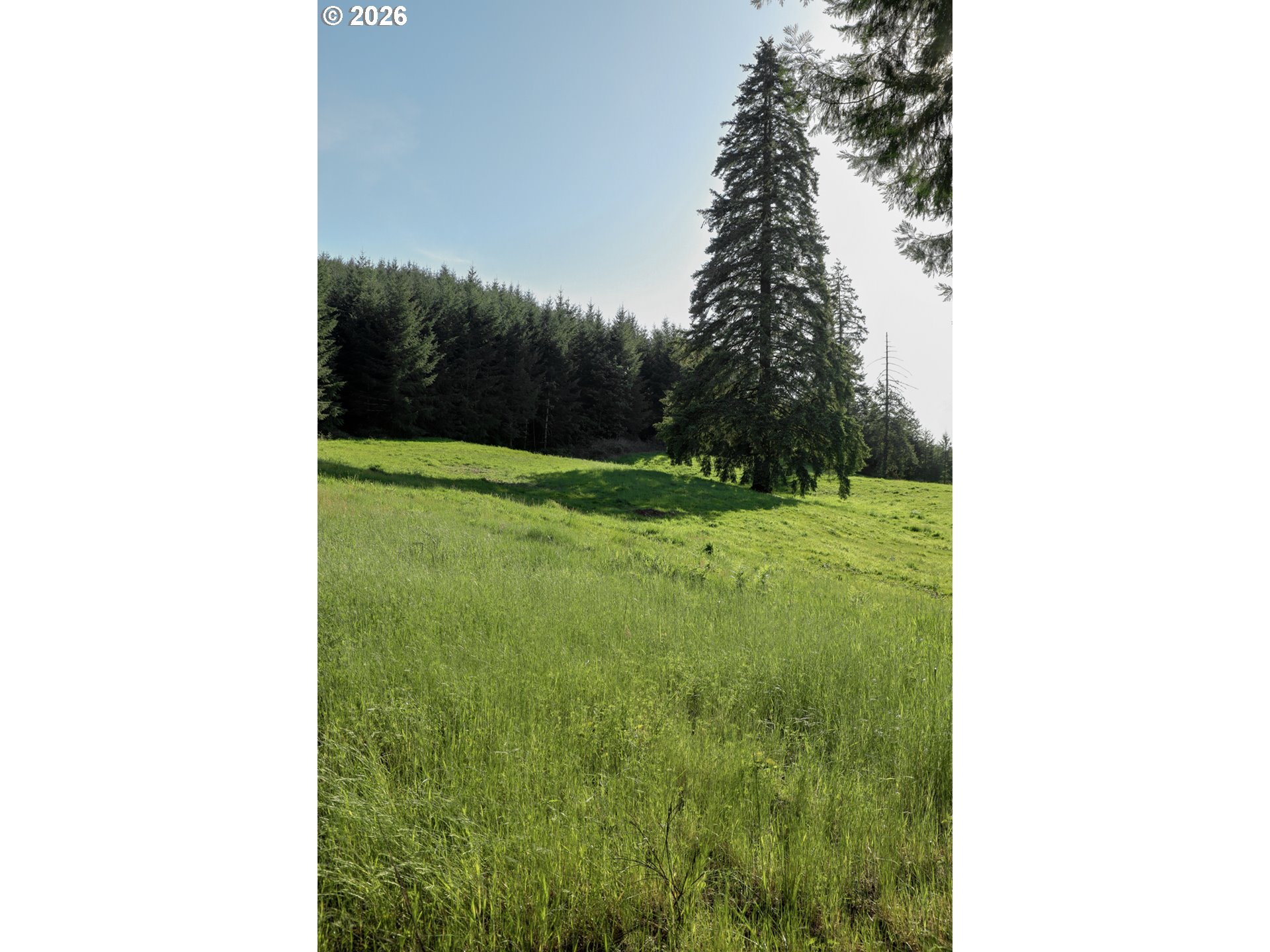 5143 Umpqua Highway 99 Property Photo 38