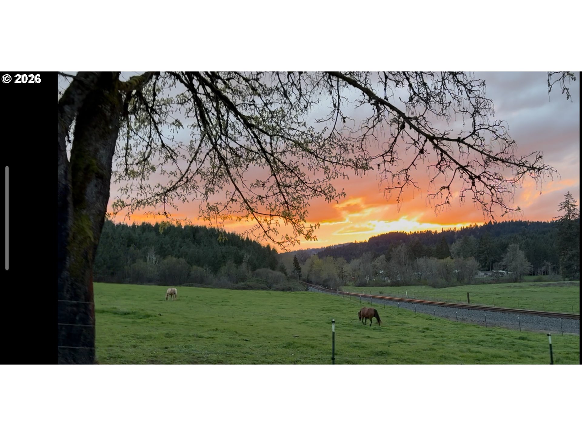 5143 Umpqua Highway 99 Property Photo 44