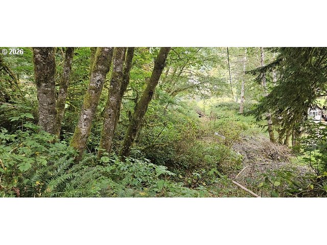 71563 Fishhawk Rd Property Photo 2