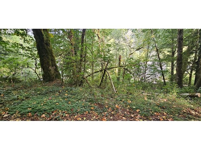 71563 Fishhawk Rd Property Photo 3