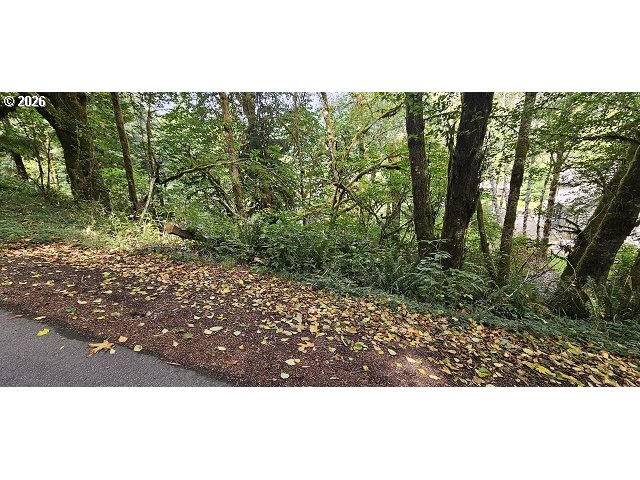 71563 Fishhawk Rd Property Photo 4