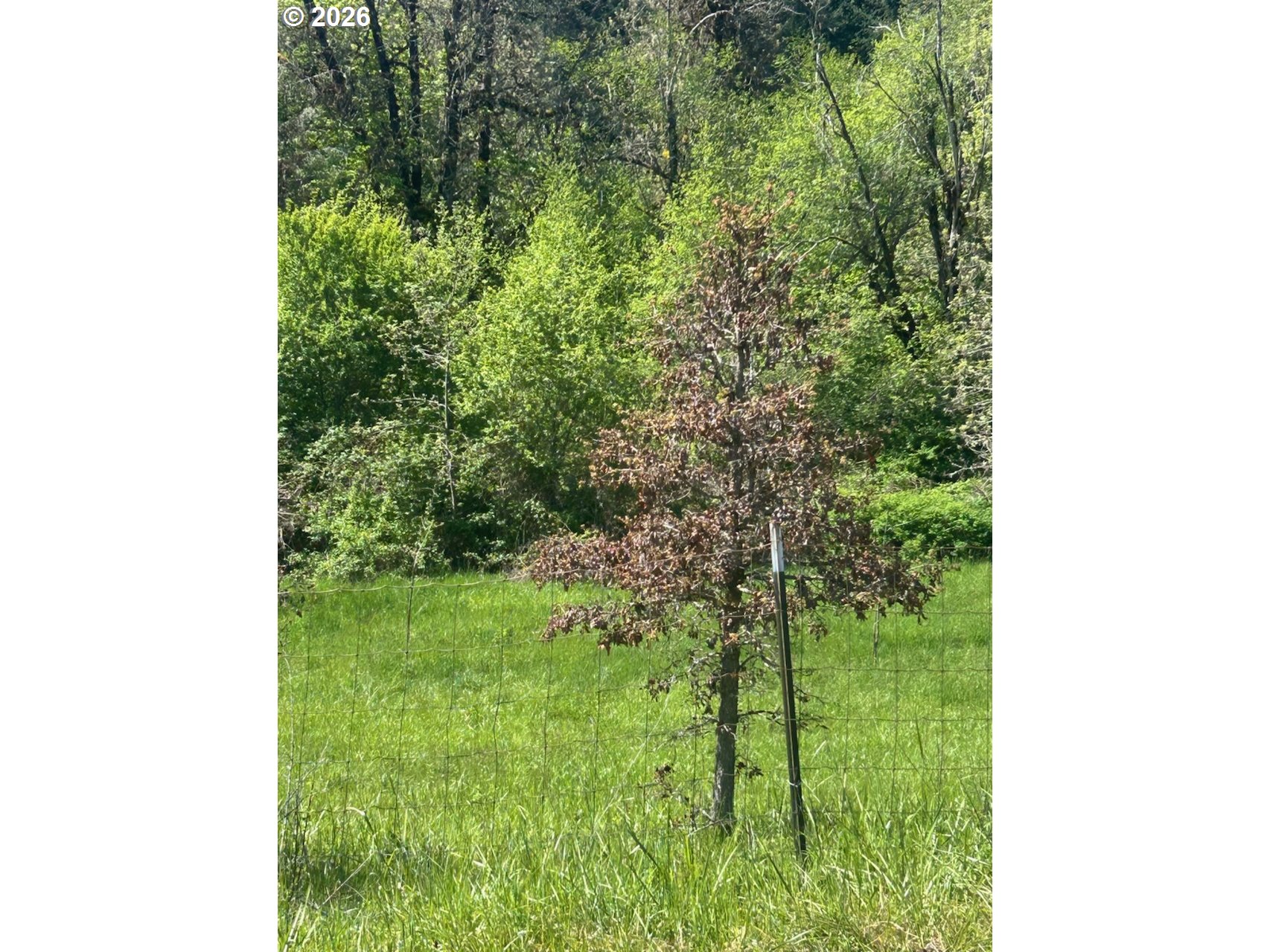 Rock Creek Rd 1 Property Photo 1