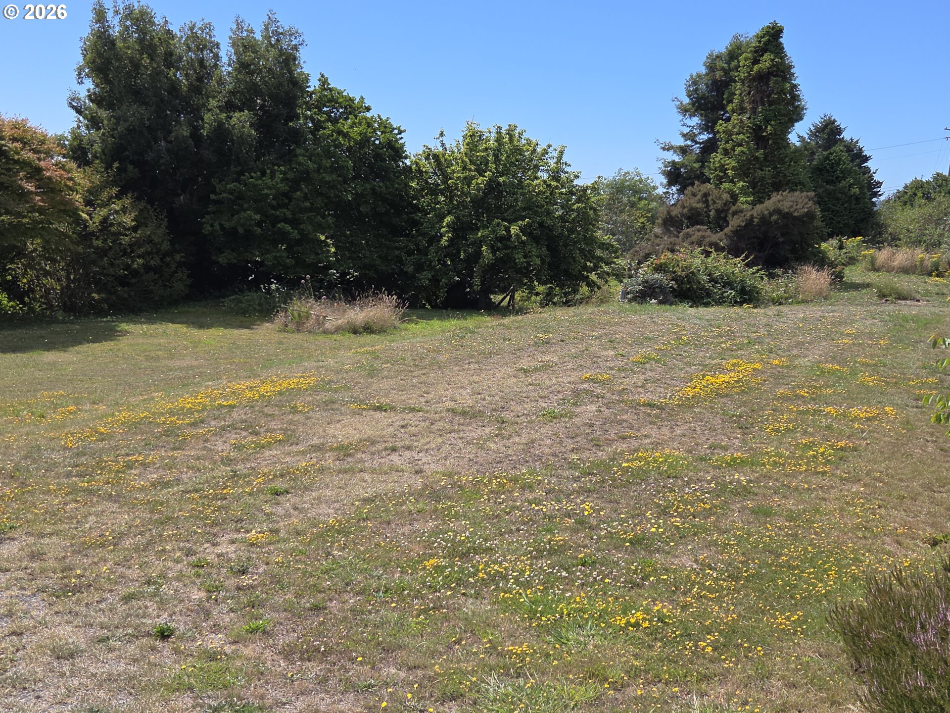 15282 Highway 101 Property Photo 10