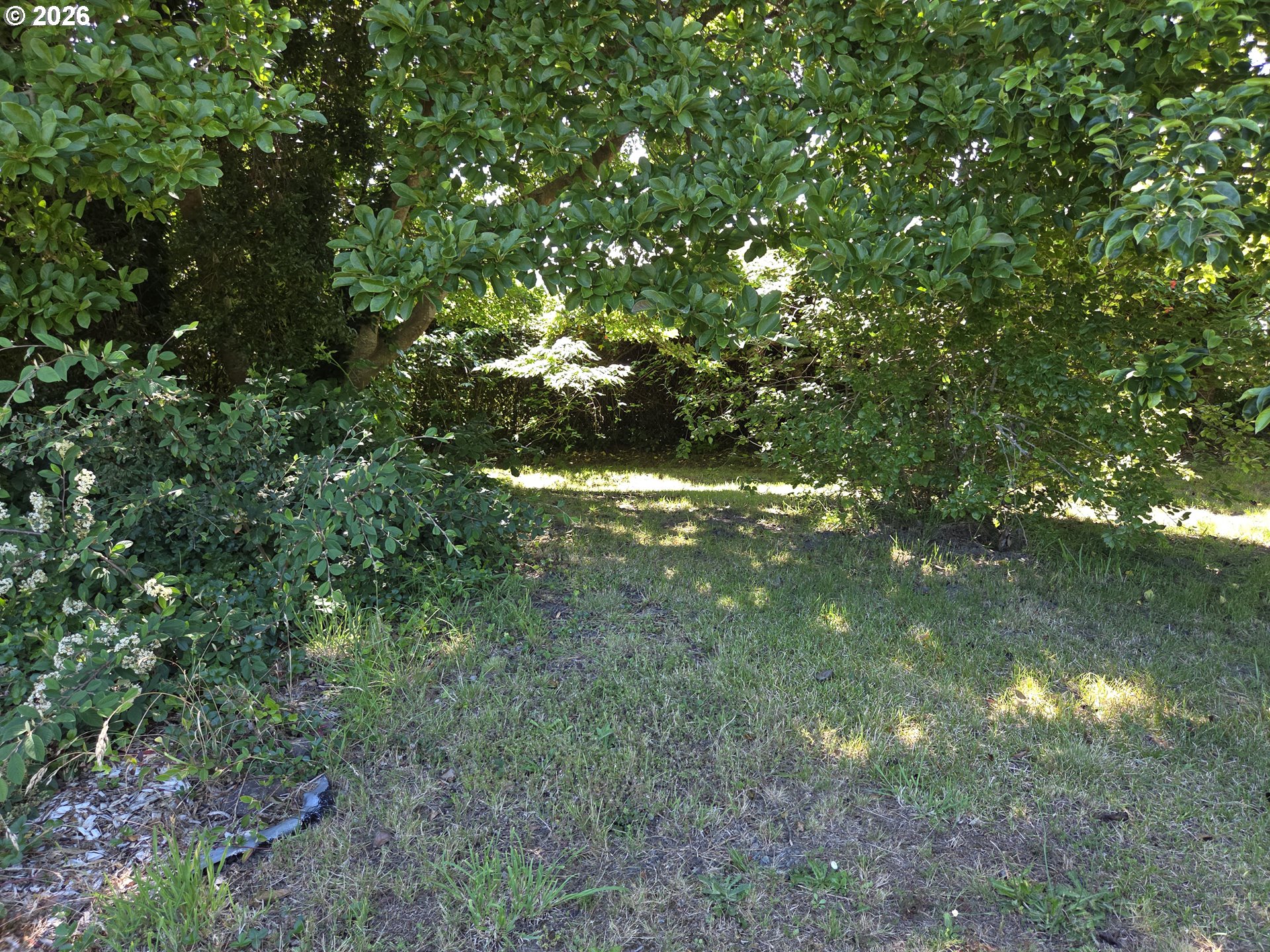 15282 Highway 101 Property Photo 20