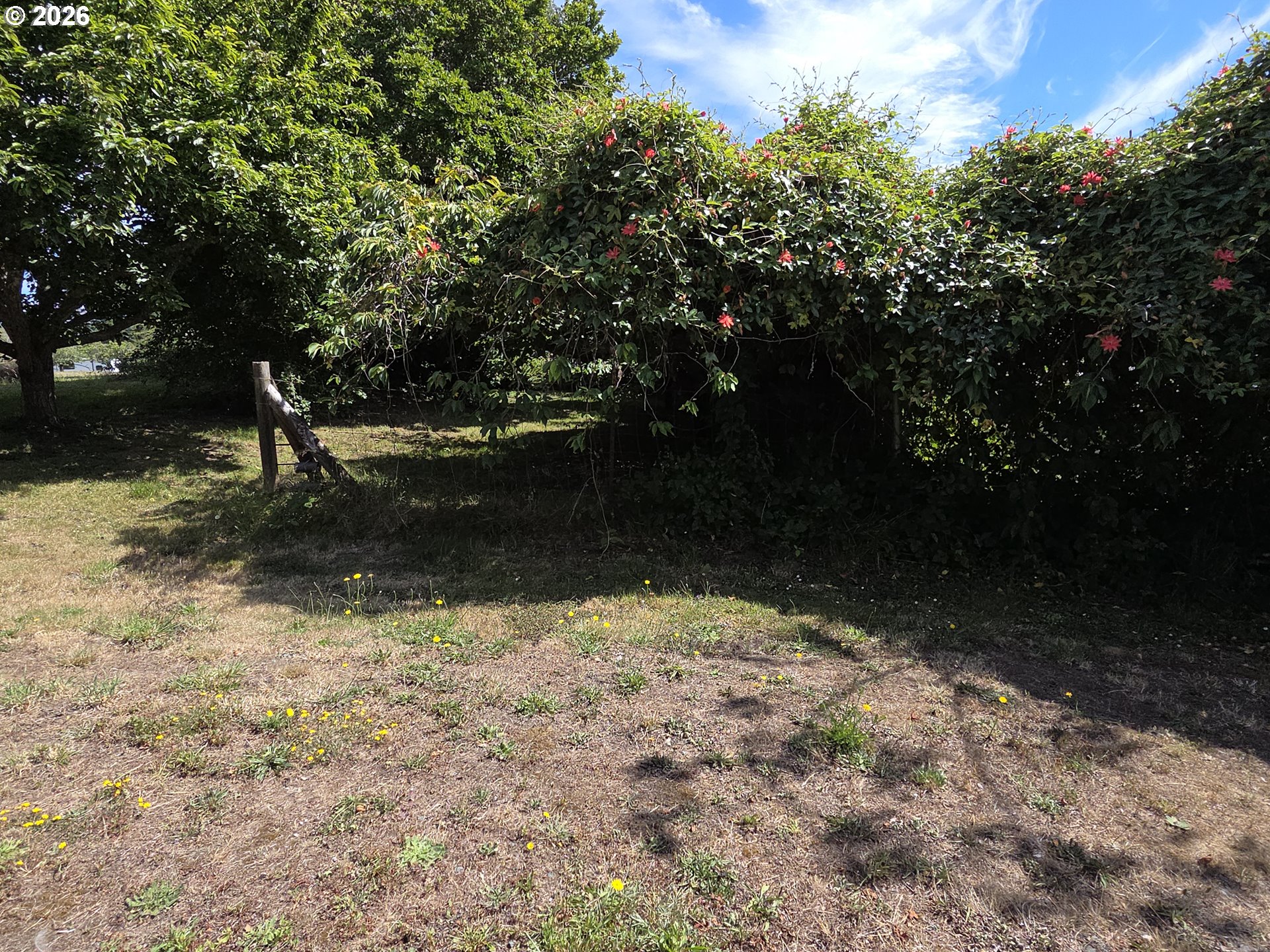 15282 Highway 101 Property Photo 32