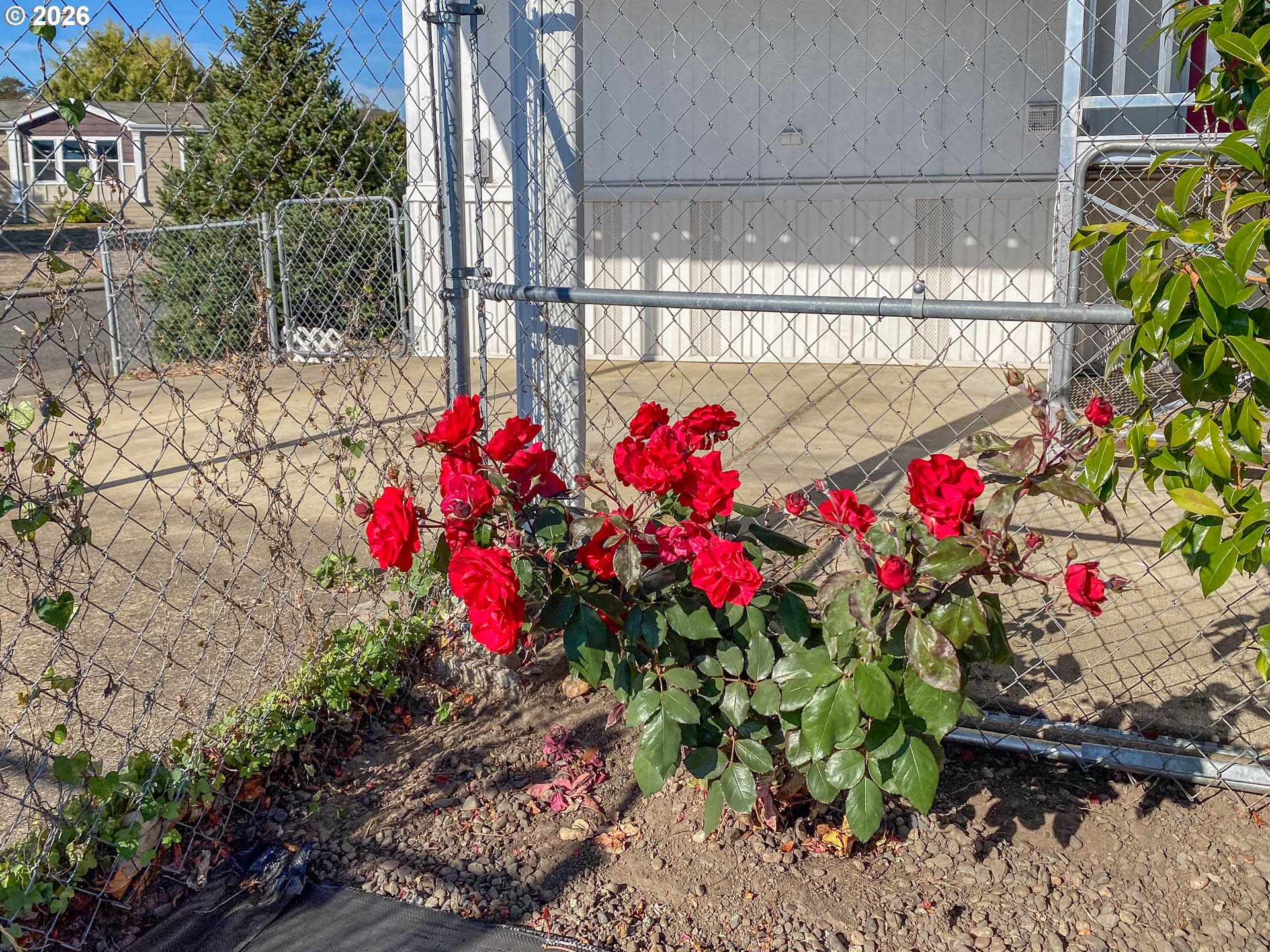 173 Nw Broc Dr Property Photo 24