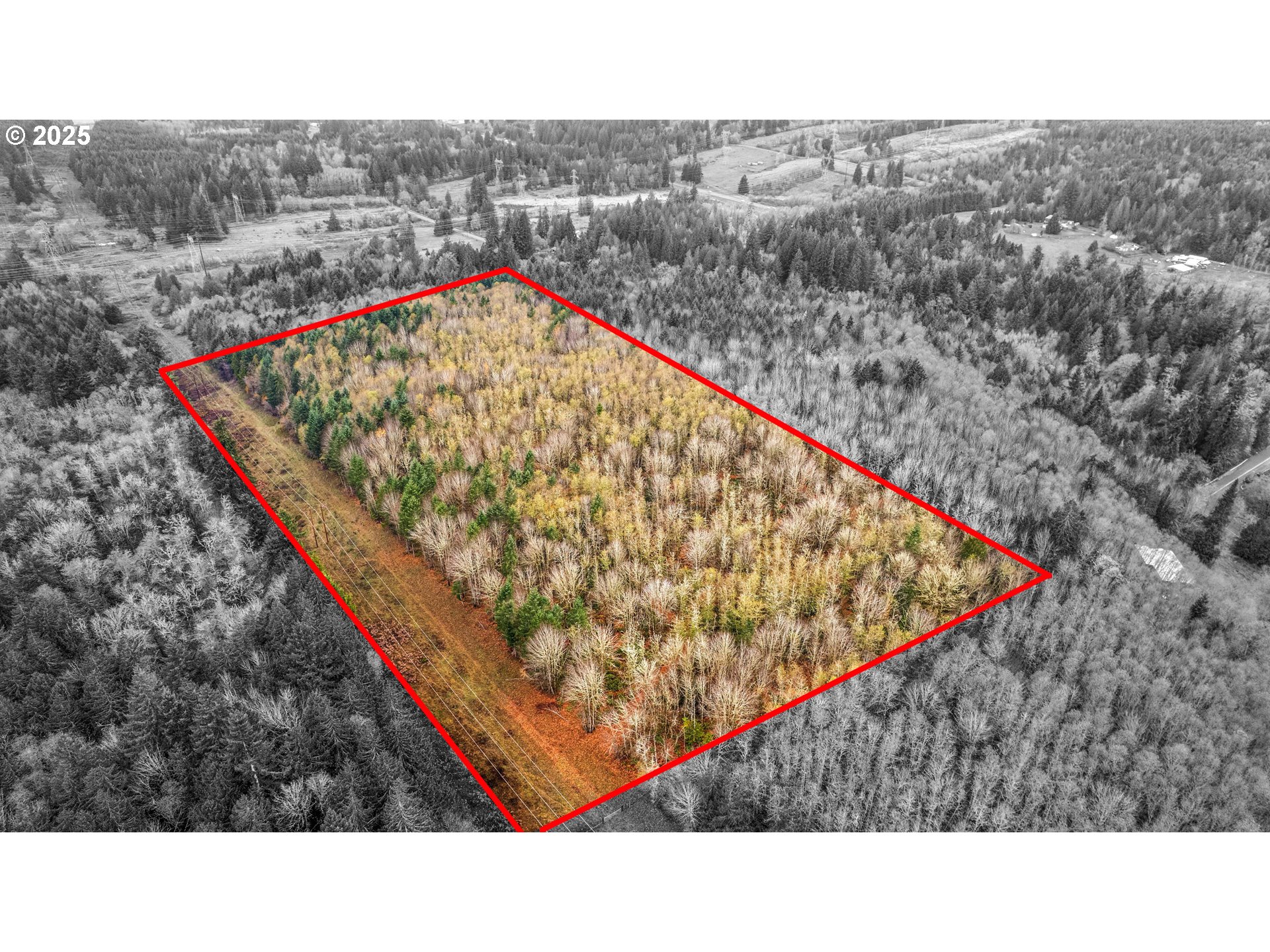0 Old Rainier Rd Property Photo 1