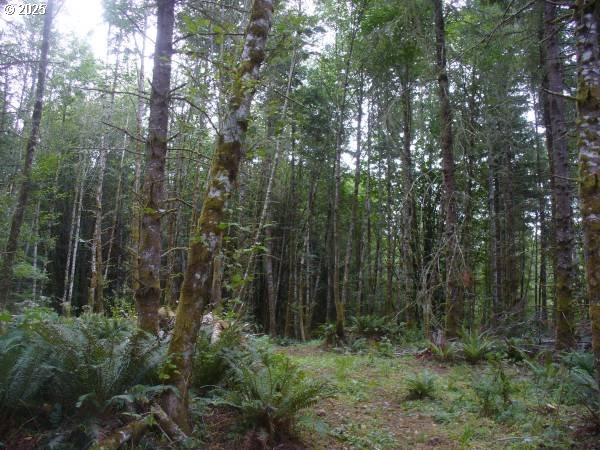 0 Old Rainier Rd Property Photo 10