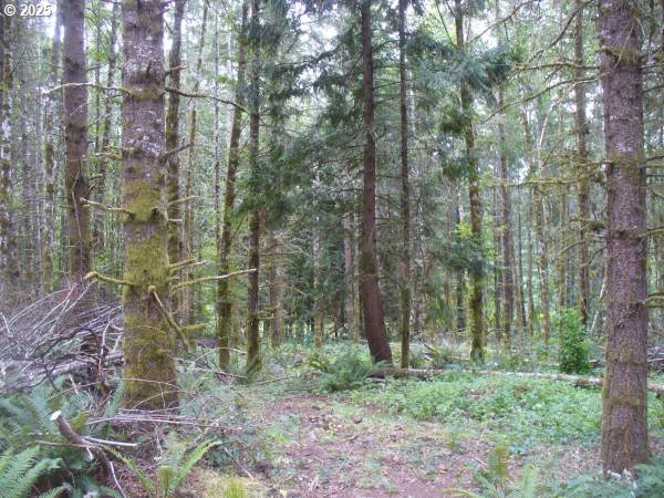 0 Old Rainier Rd Property Photo 12