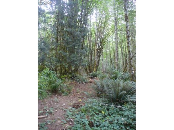 0 Old Rainier Rd Property Photo 15