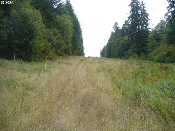 0 Old Rainier Rd Property Photo 16