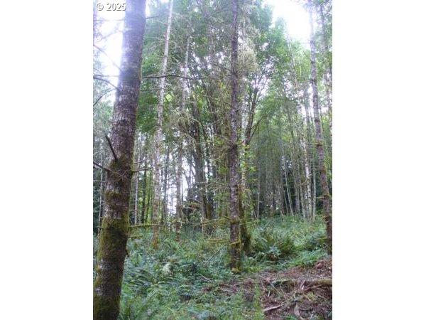 0 Old Rainier Rd Property Photo 17