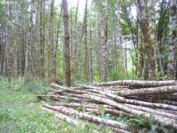 0 Old Rainier Rd Property Photo 21