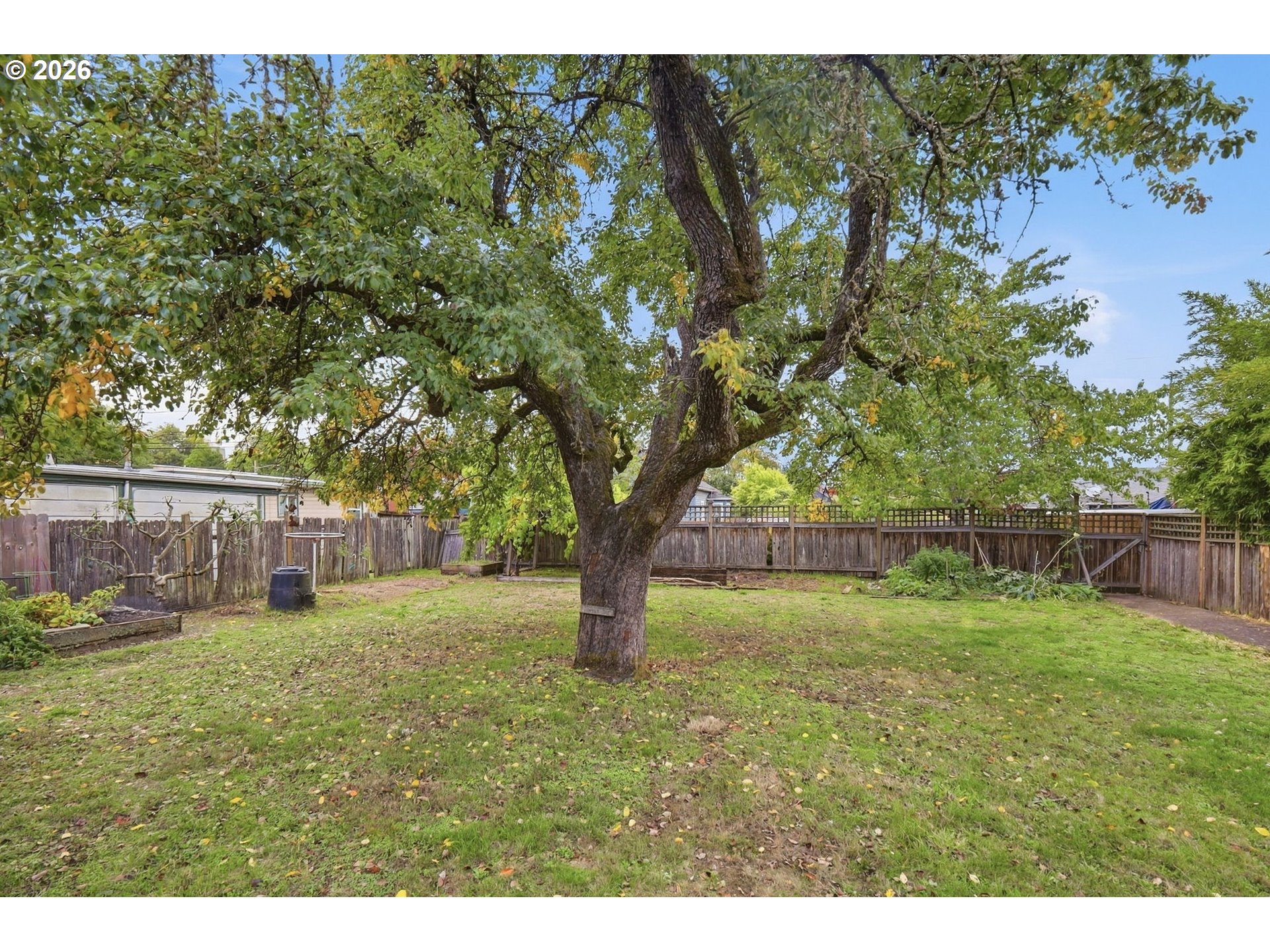28 Lawrence St Property Photo 35