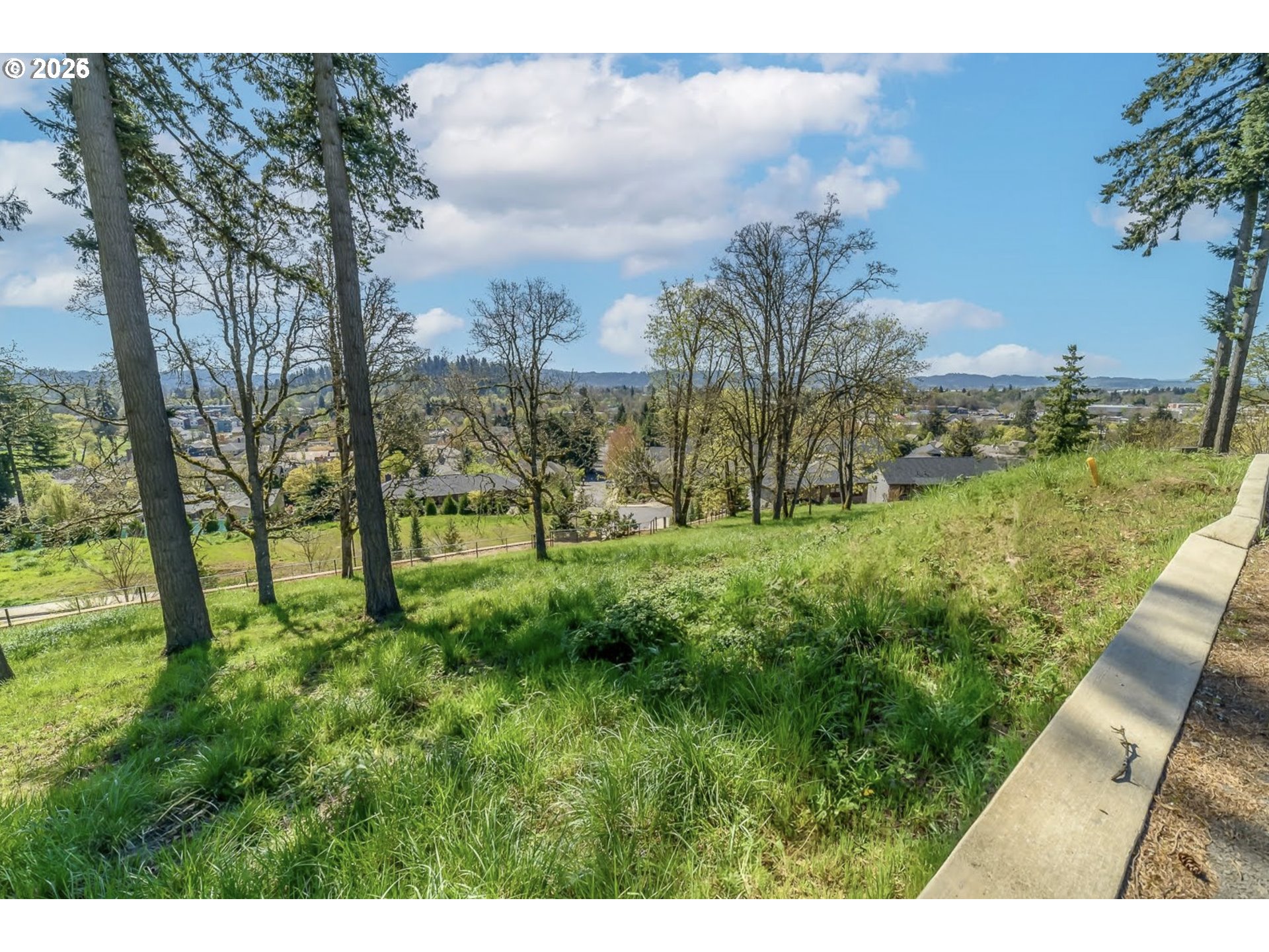 1230 Evening Star Ln Property Photo 10