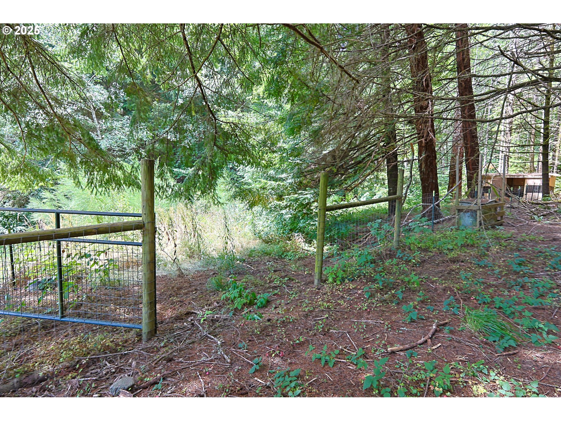 1923 Idaho Ave Property Photo 36