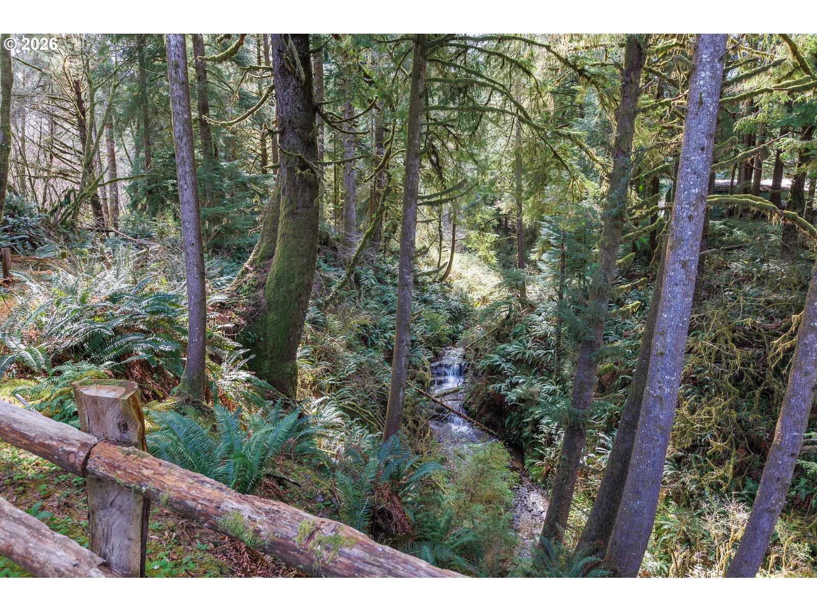 871 Old River Rd Property Photo 36