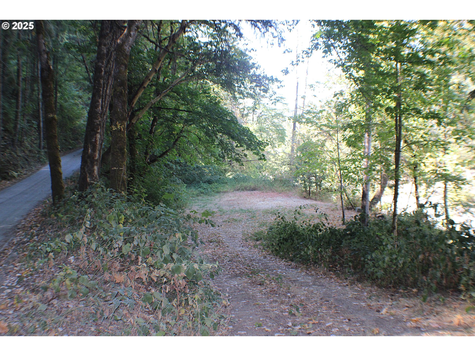 750 Ferguson Ln Property Photo 6