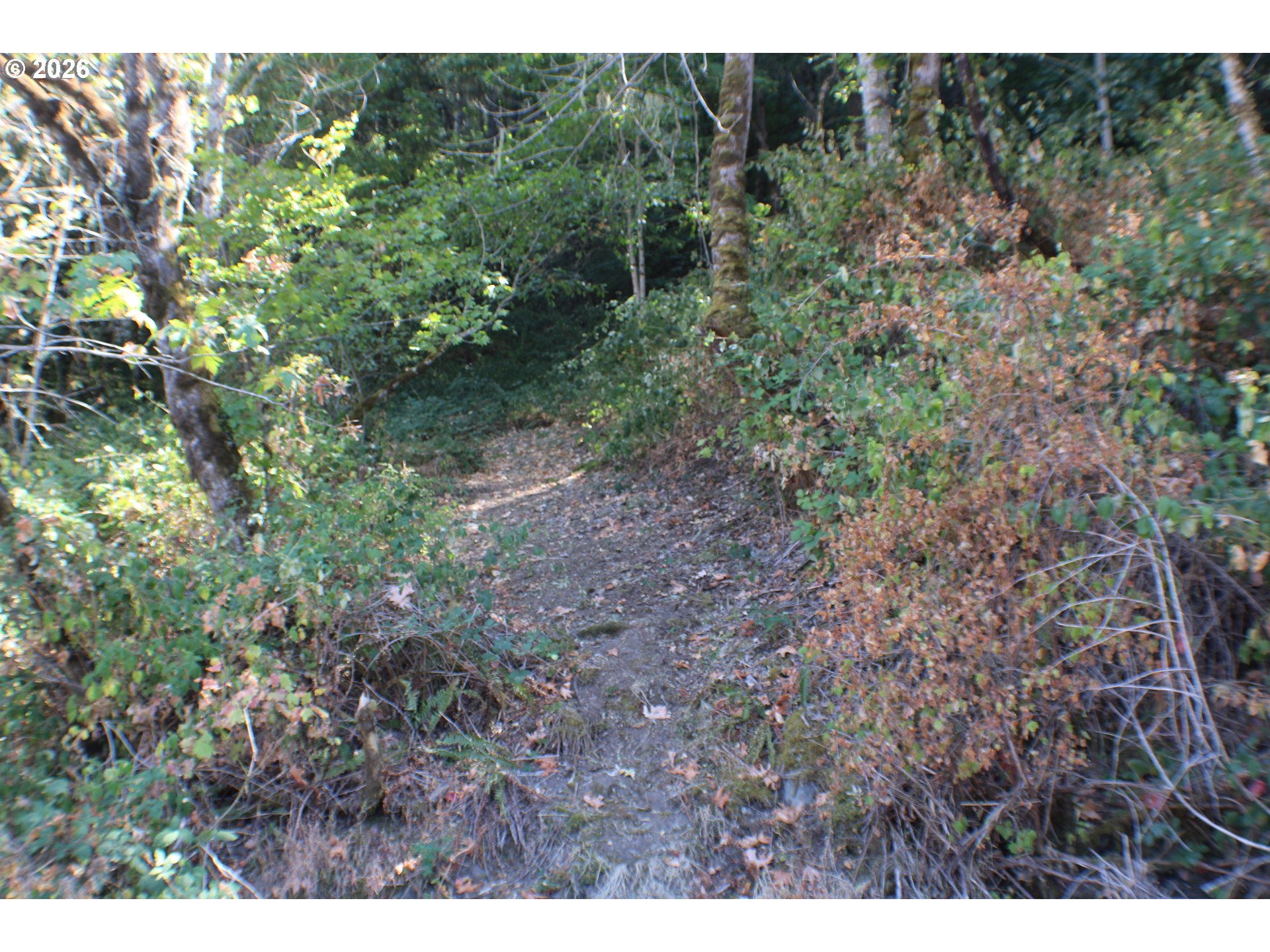 750 Ferguson Ln Property Photo 10