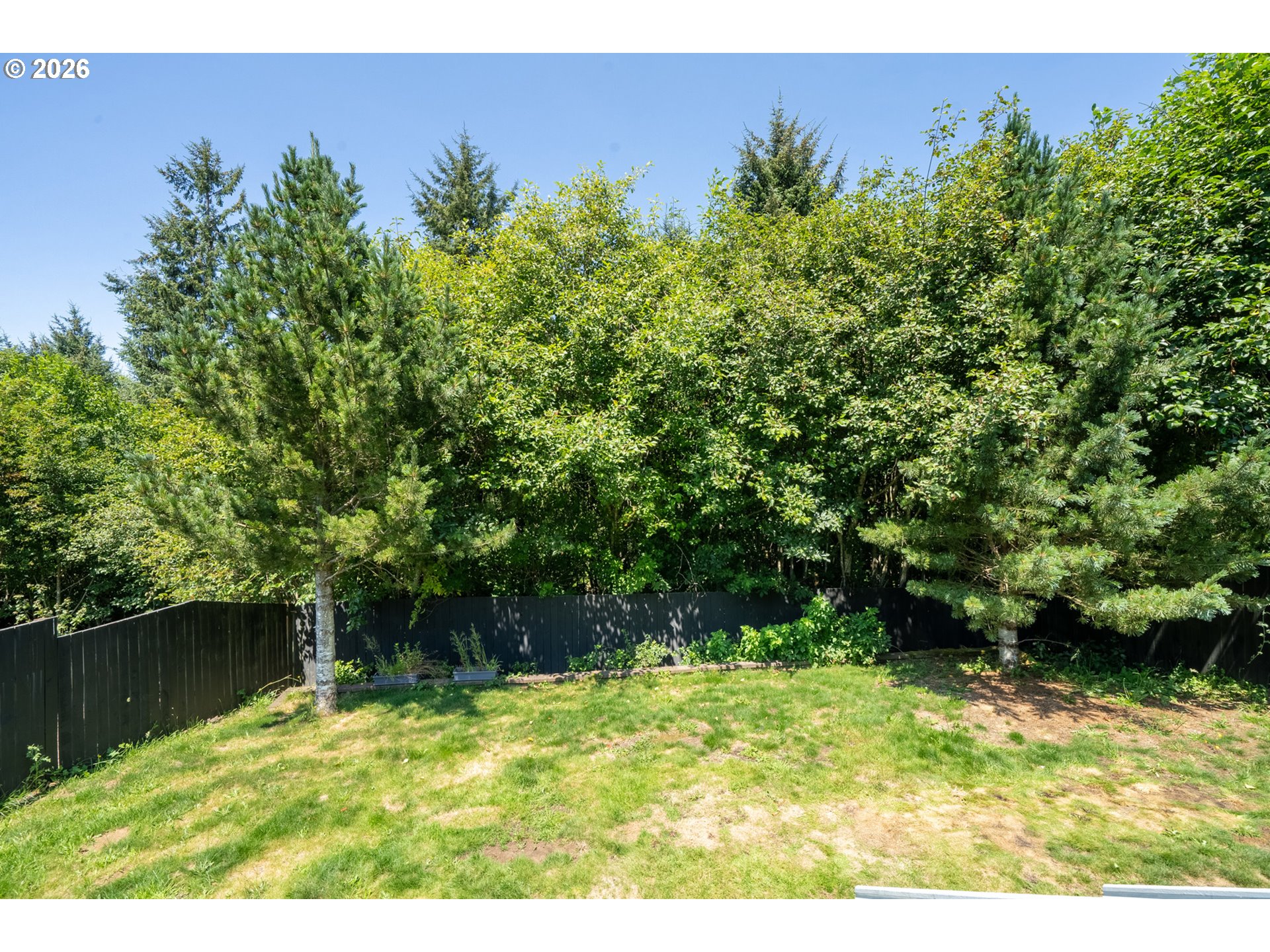 4350 Sequoia Loop Property Photo 19