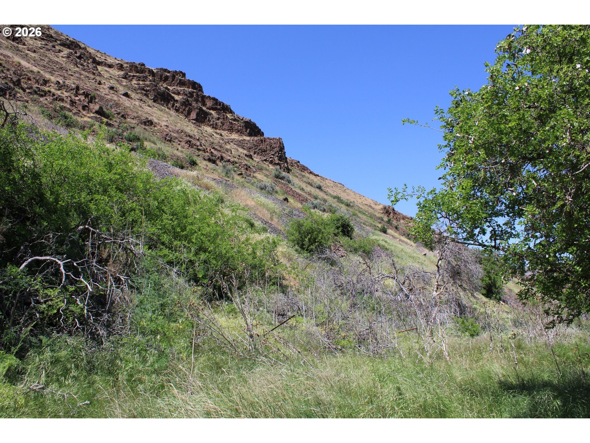 No Situs Address Property Photo 4