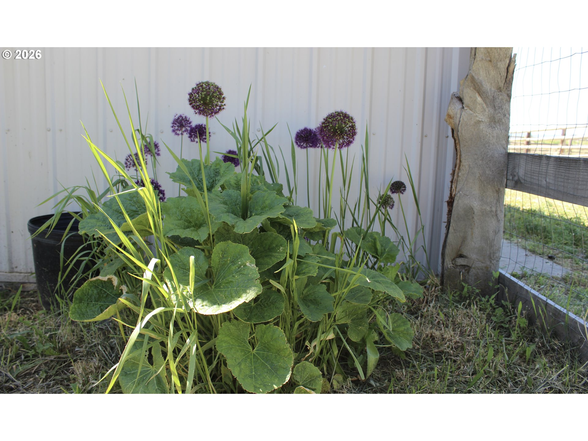 92586 Water Users Ln Property Photo 30